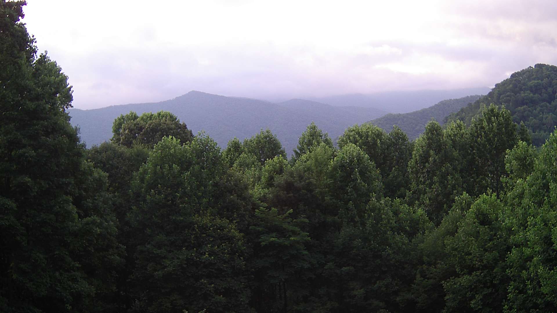click for next image... slideshow image