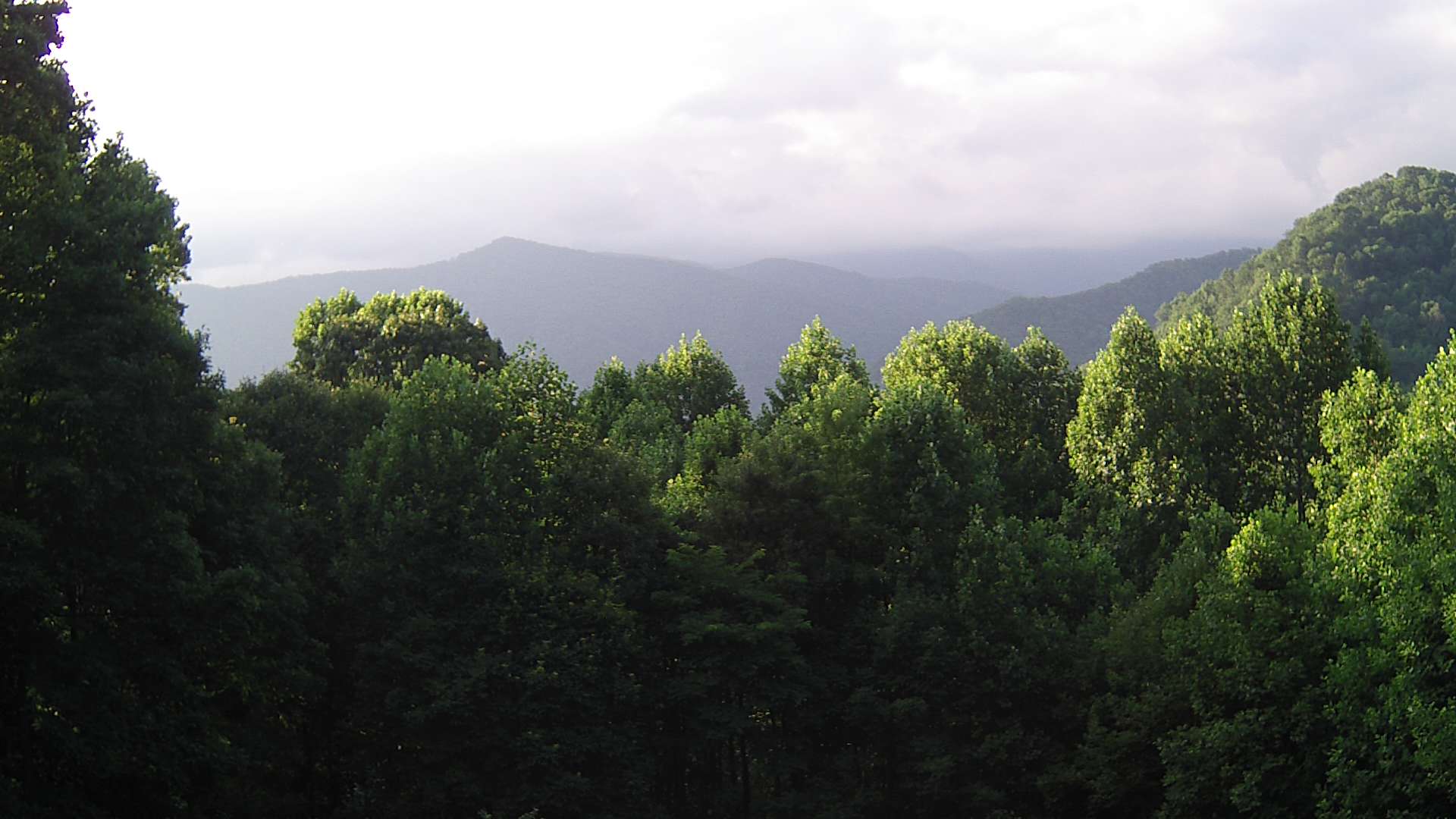 click for next image... slideshow image