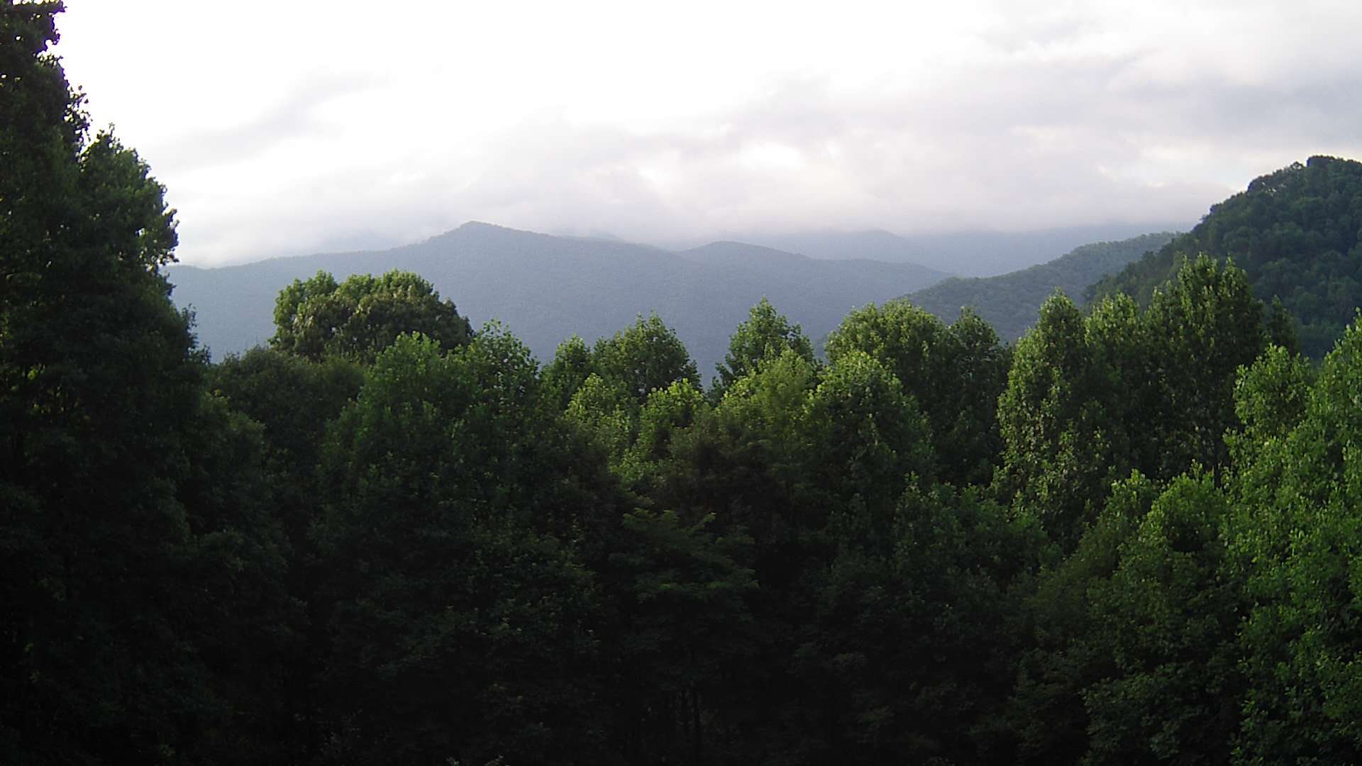 click for next image... slideshow image