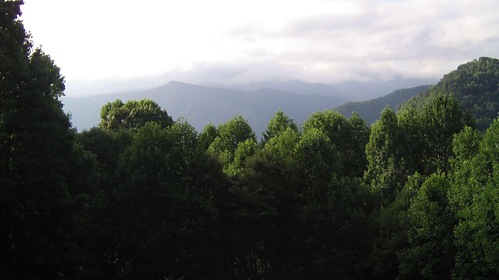 click for next image... slideshow image