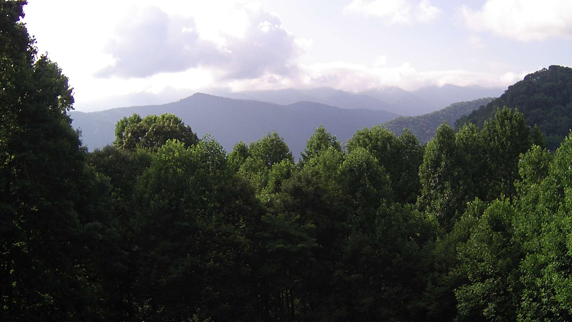 click for next image... slideshow image