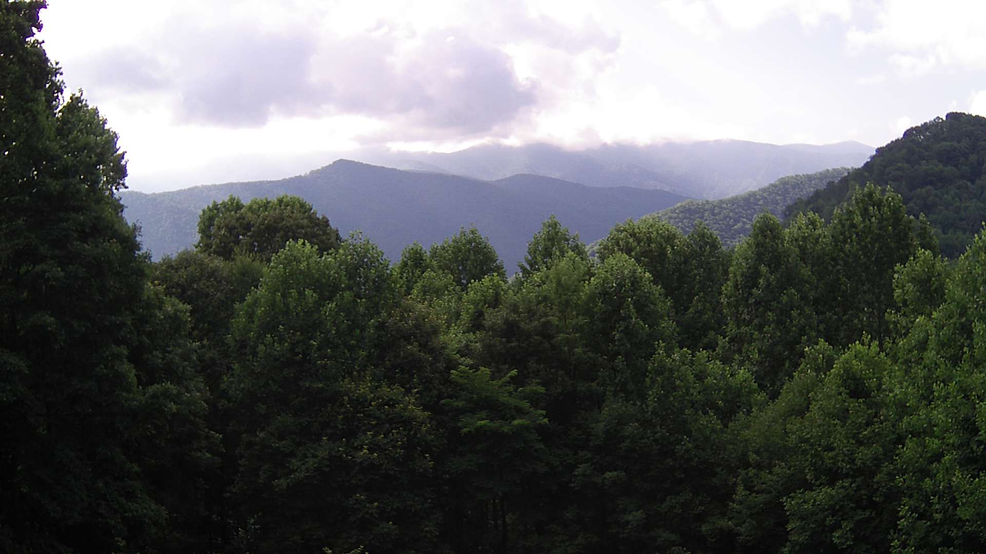 click for next image... slideshow image