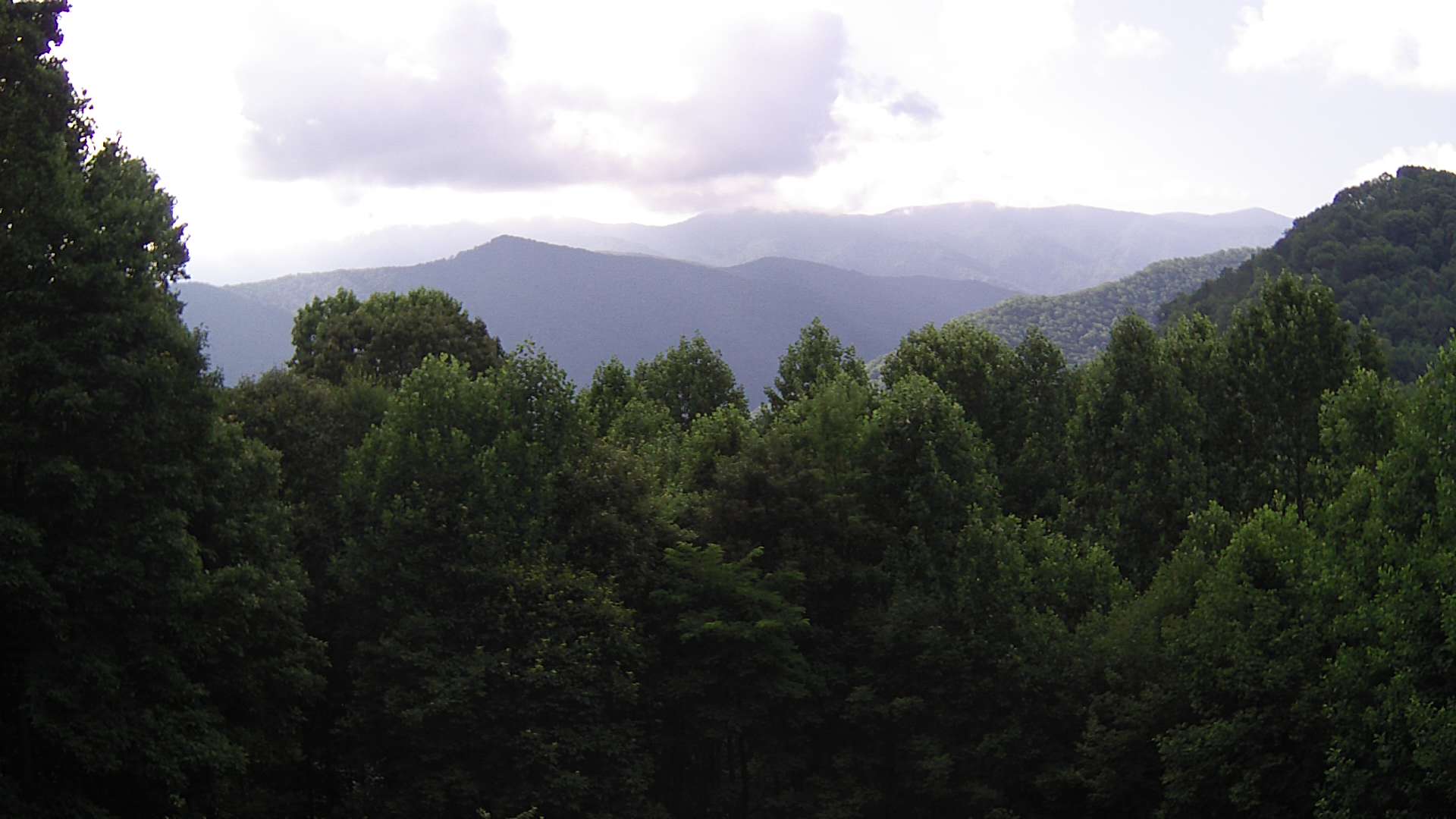 click for next image... slideshow image