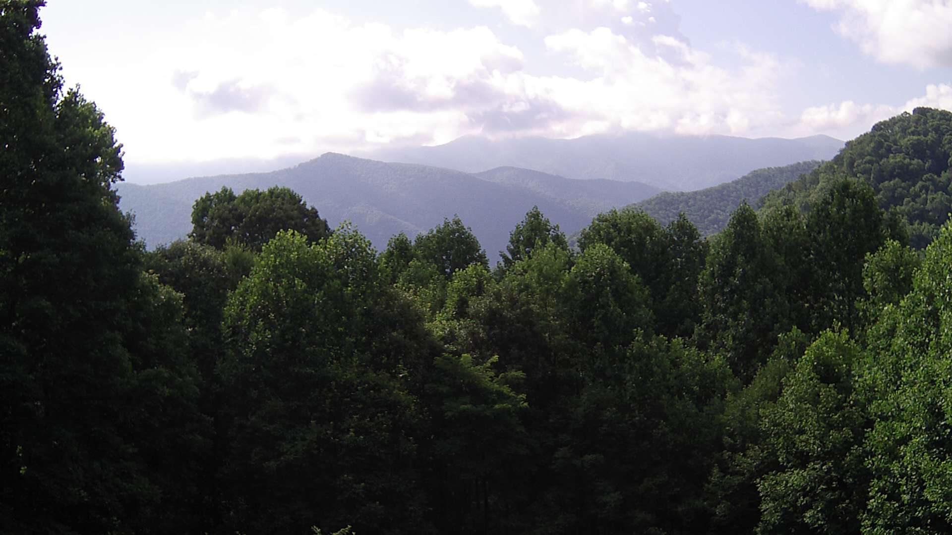 click for next image... slideshow image