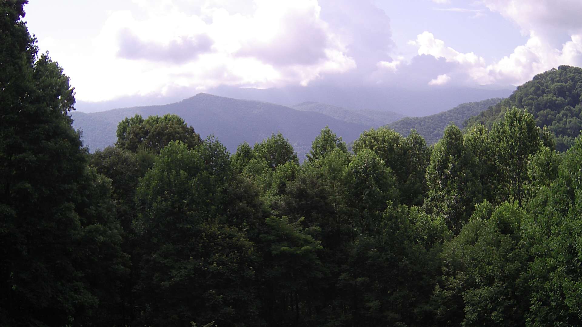 click for next image... slideshow image