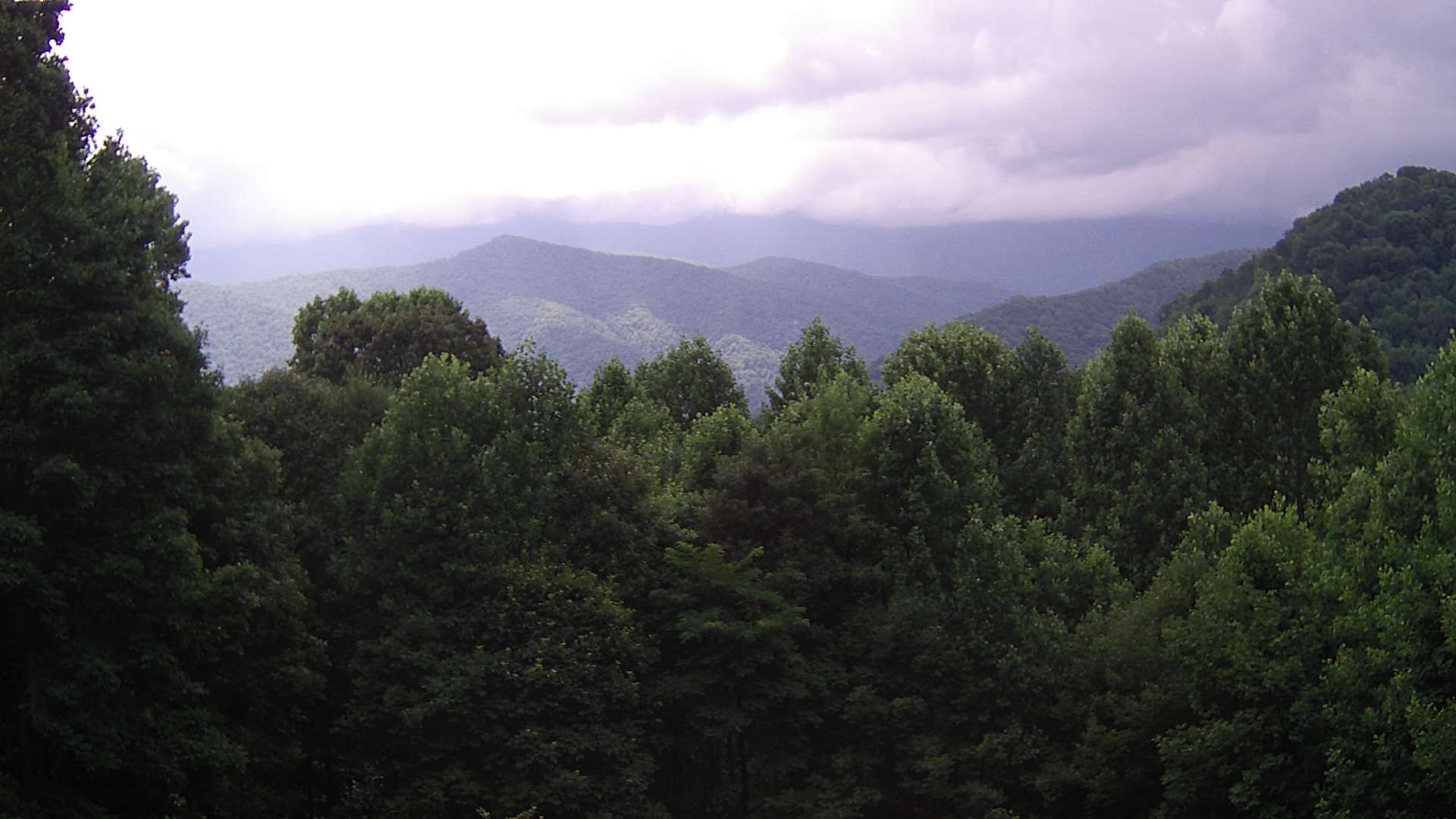 click for next image... slideshow image