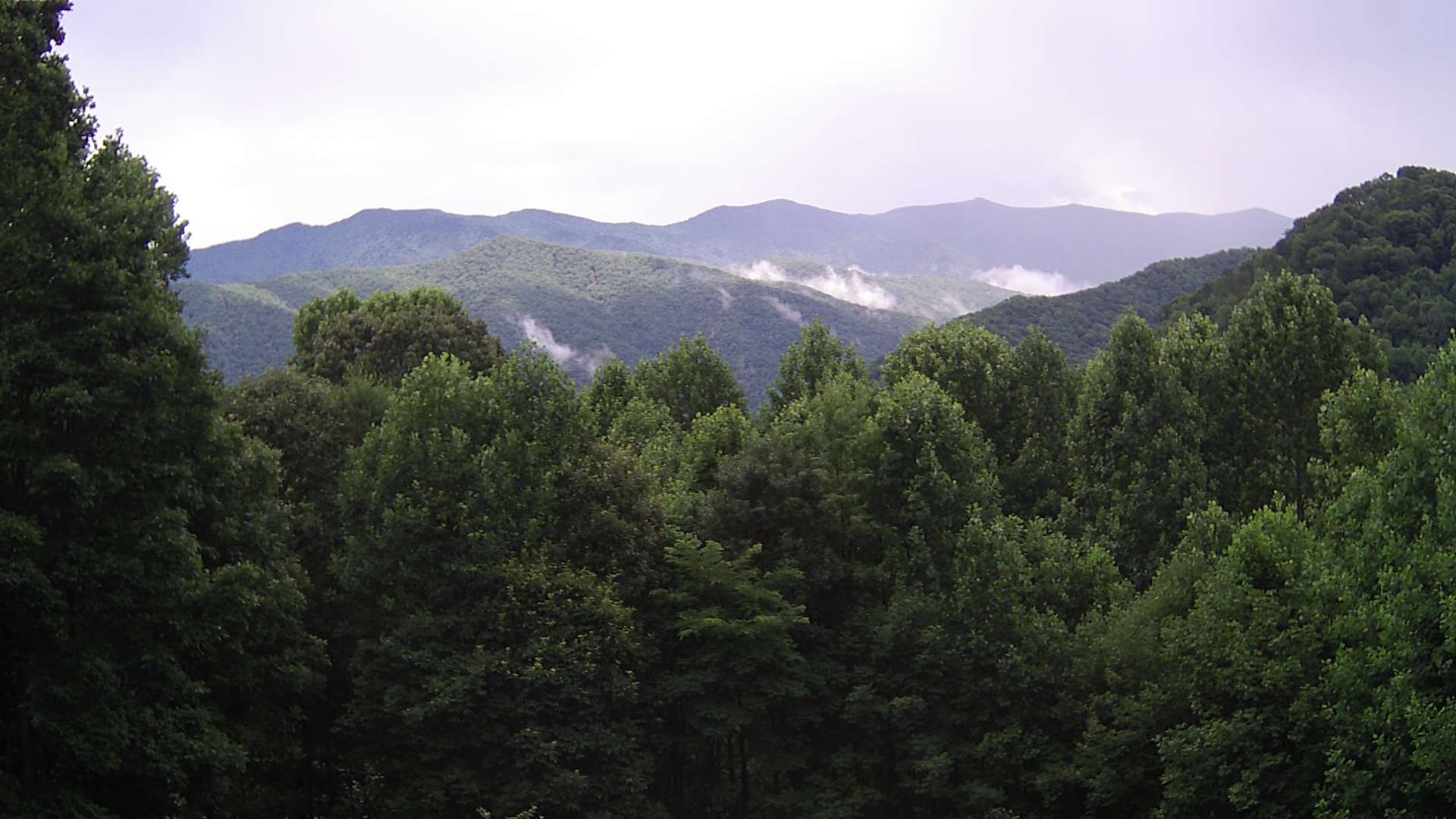 click for next image... slideshow image