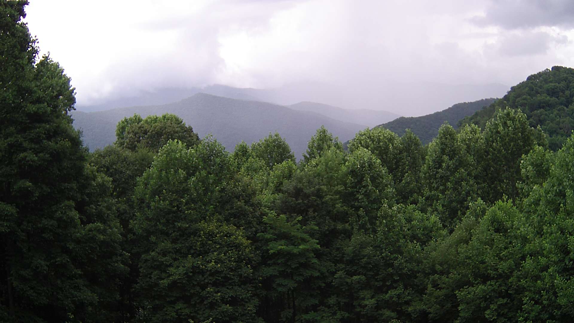 click for next image... slideshow image