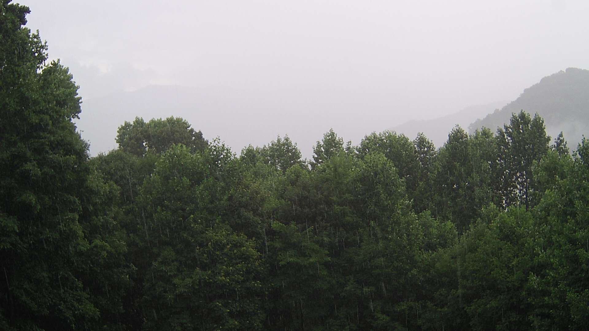 click for next image... slideshow image