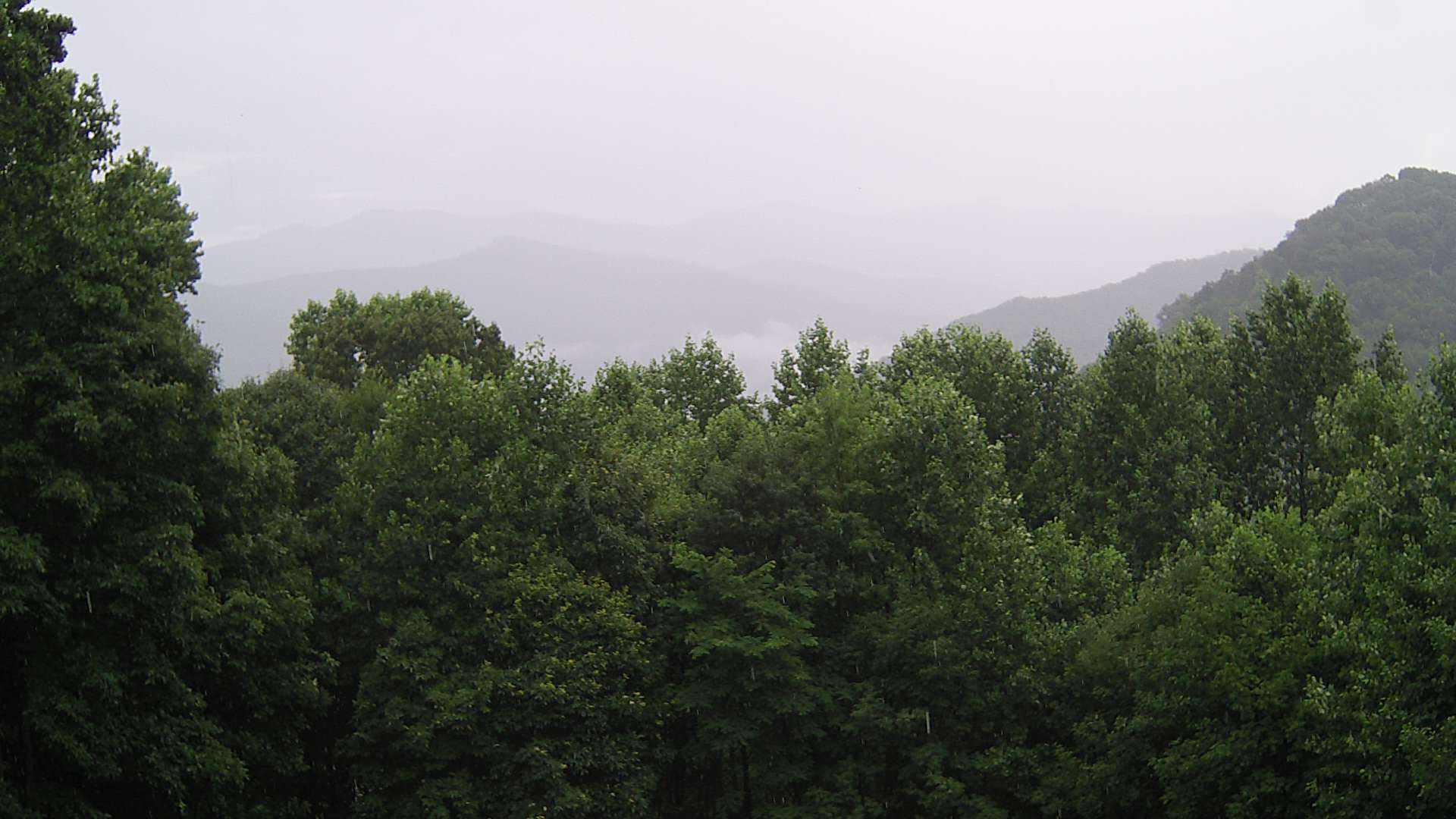 click for next image... slideshow image