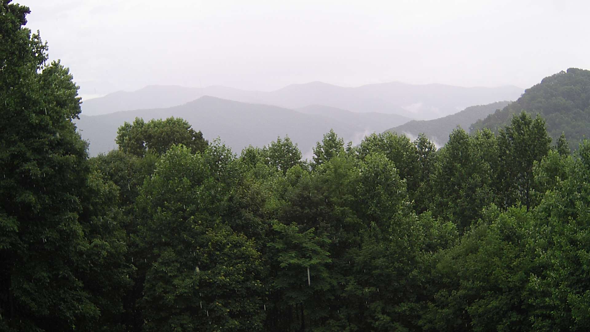 click for next image... slideshow image