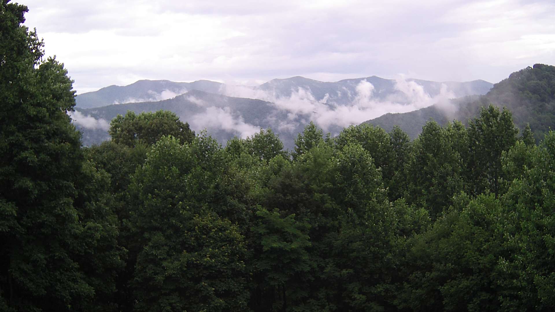 click for next image... slideshow image