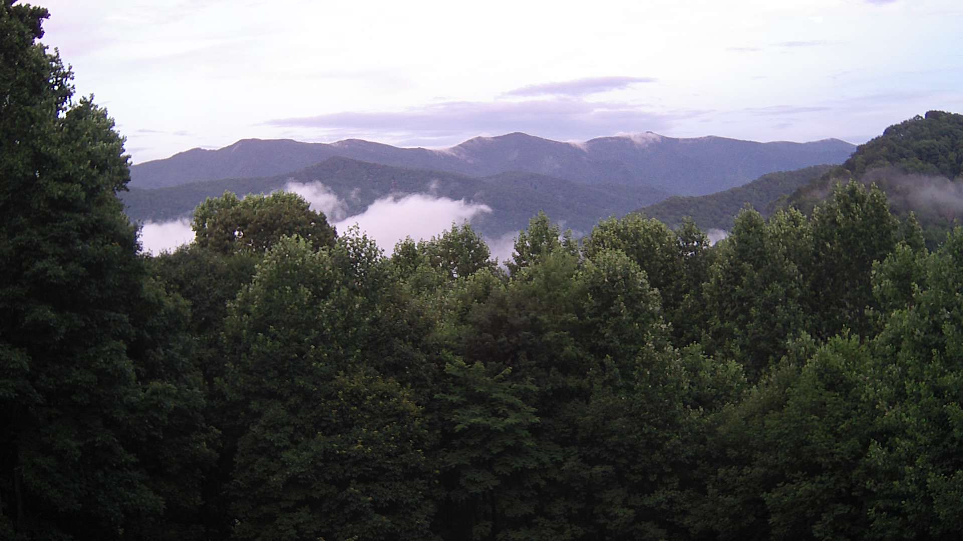 click for next image... slideshow image