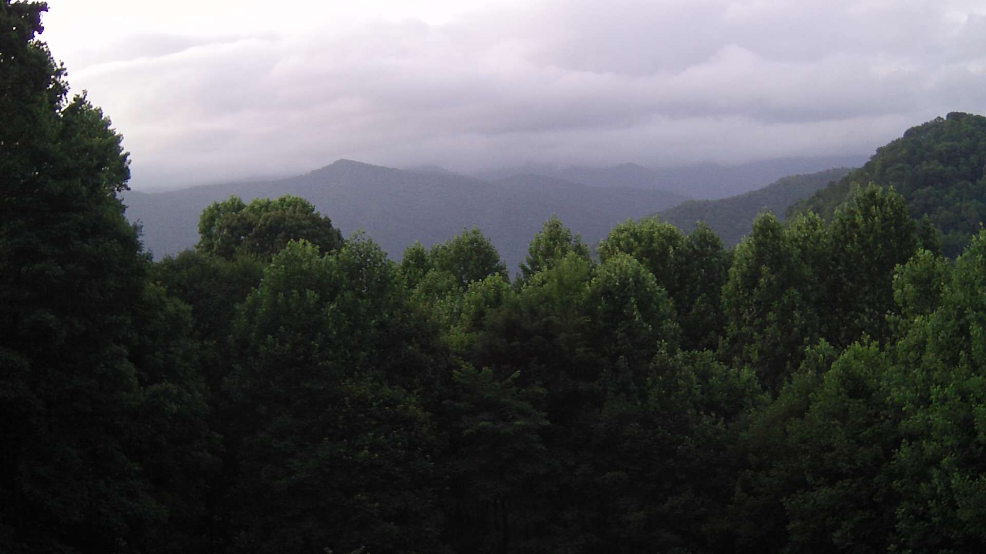 click for next image... slideshow image