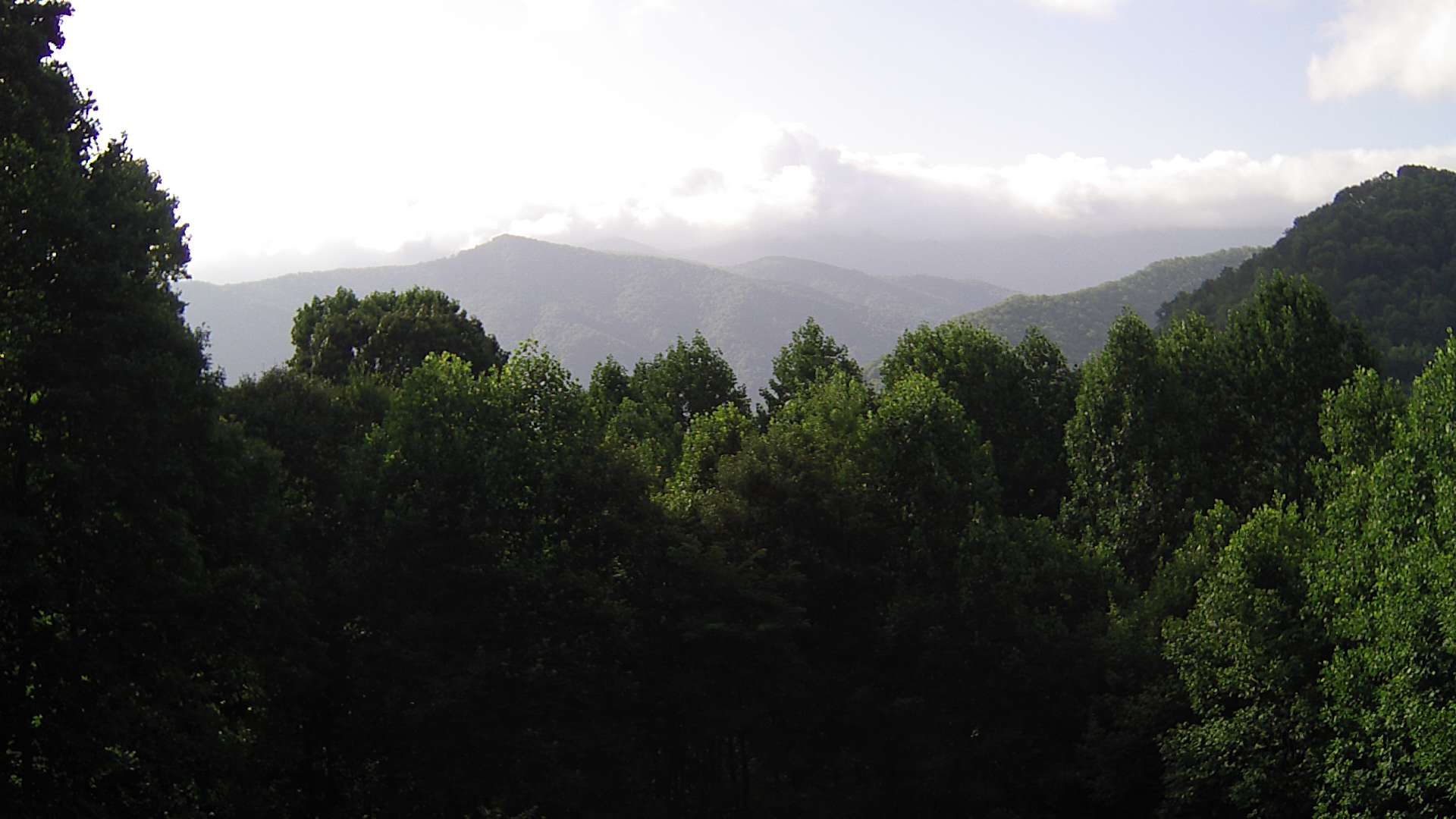 click for next image... slideshow image