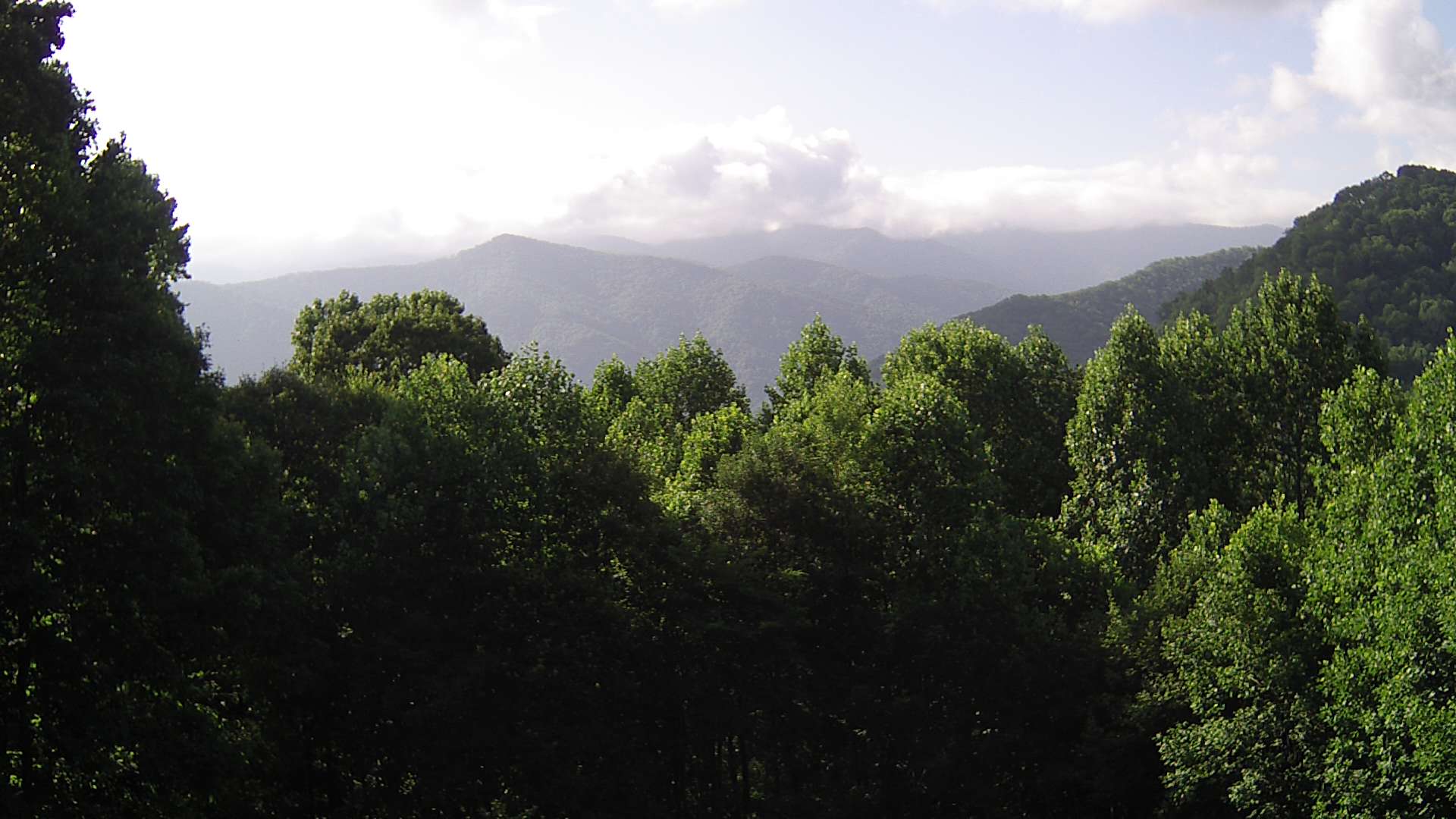 click for next image... slideshow image