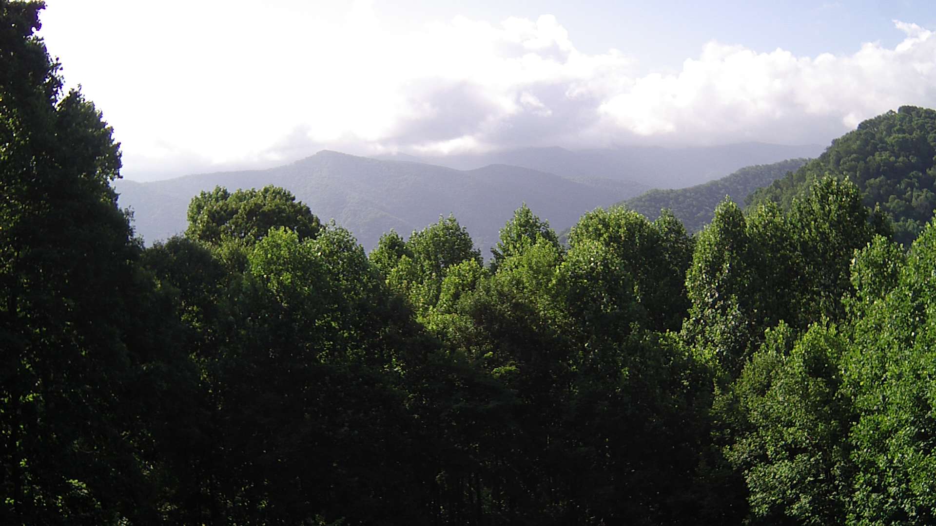 click for next image... slideshow image