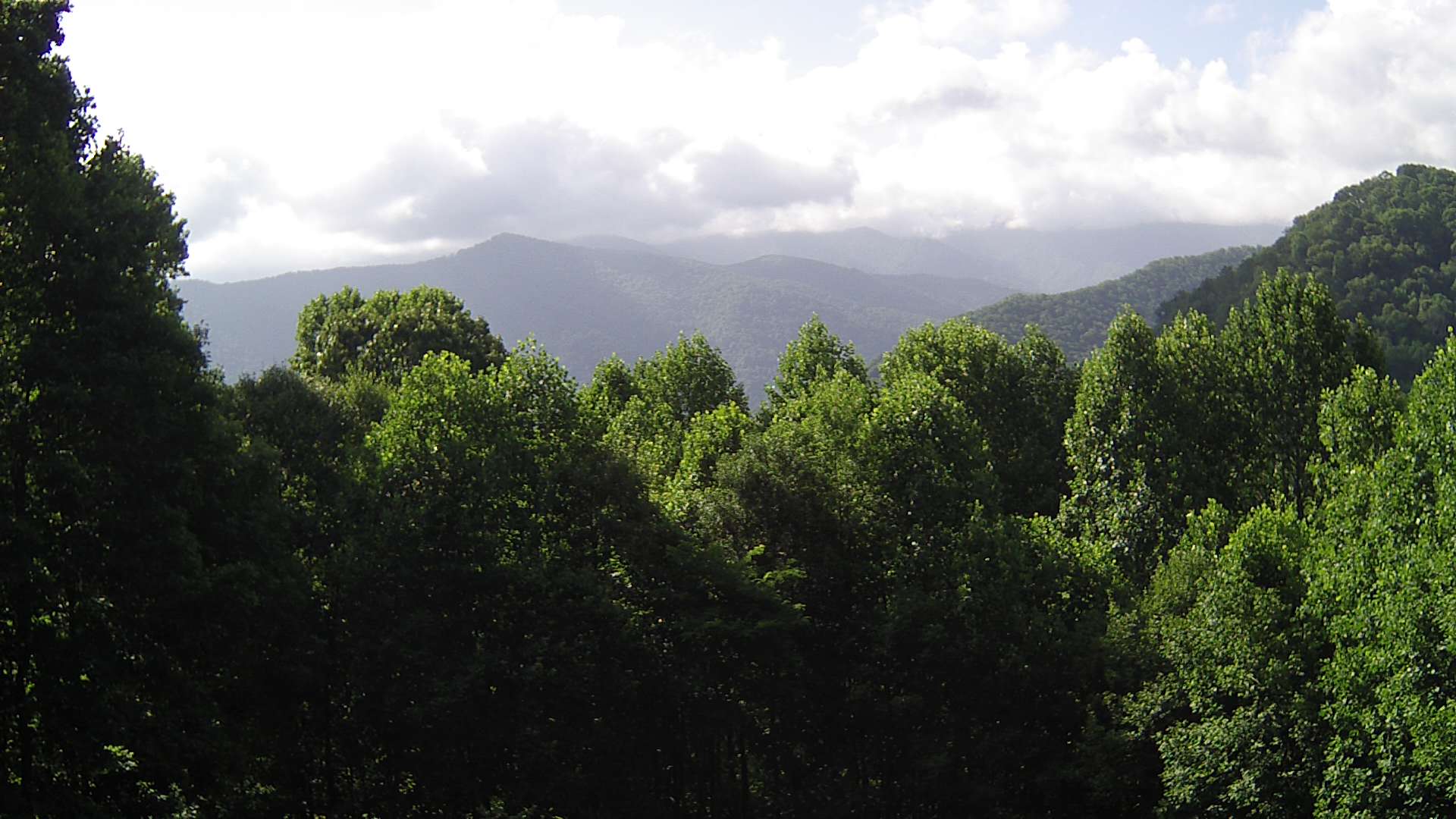 click for next image... slideshow image