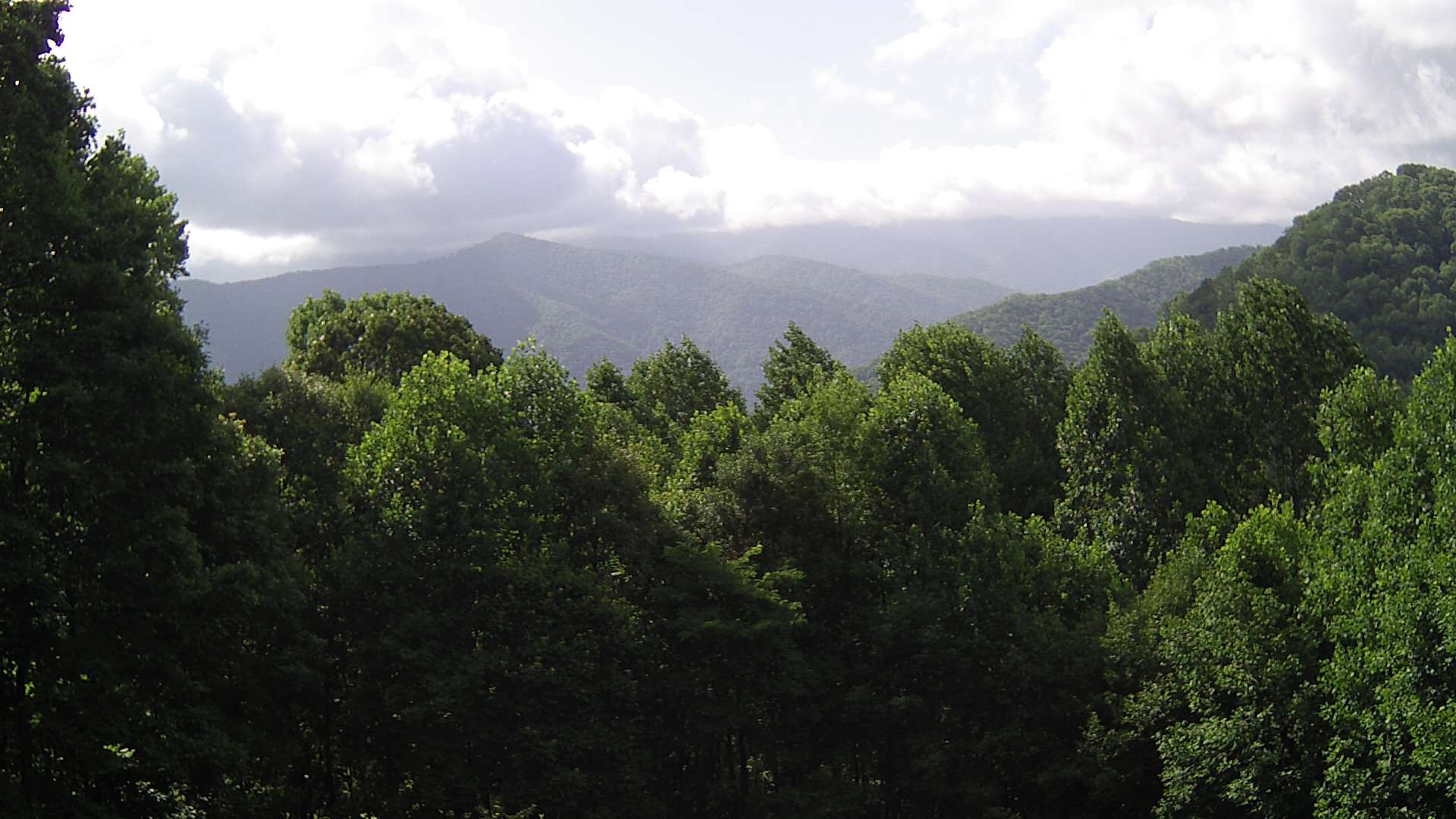 click for next image... slideshow image