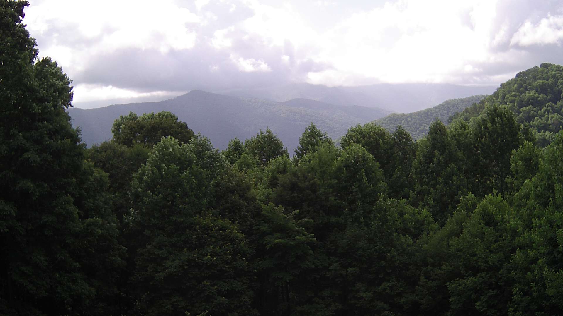 click for next image... slideshow image