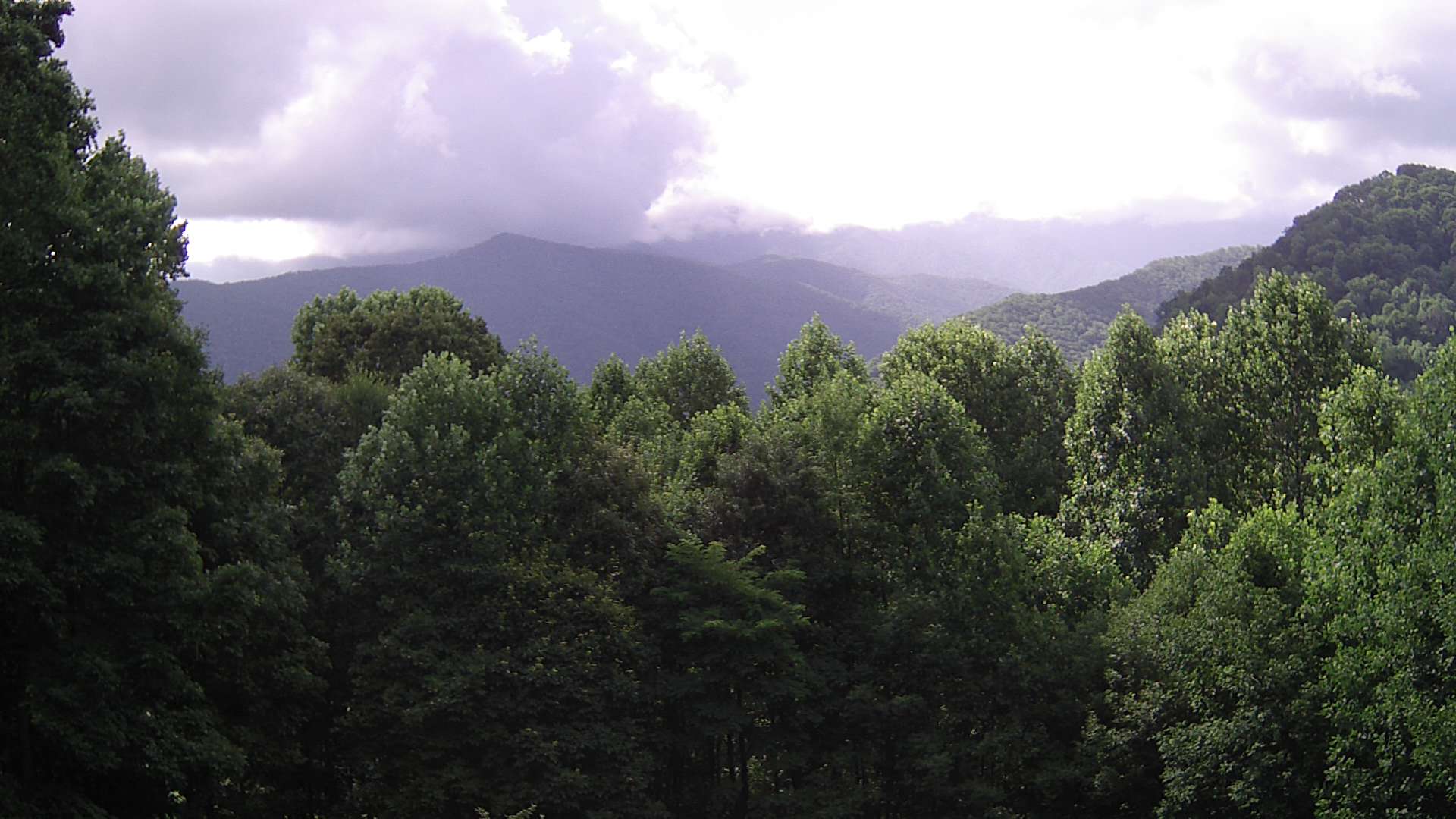 click for next image... slideshow image