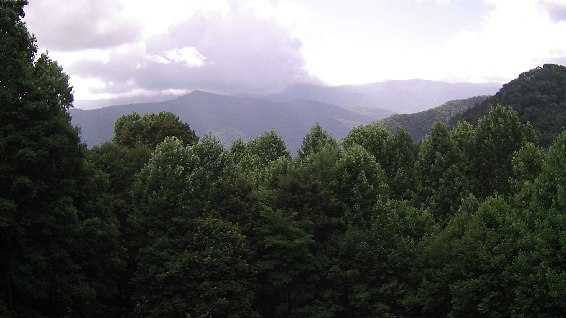 click for next image... slideshow image