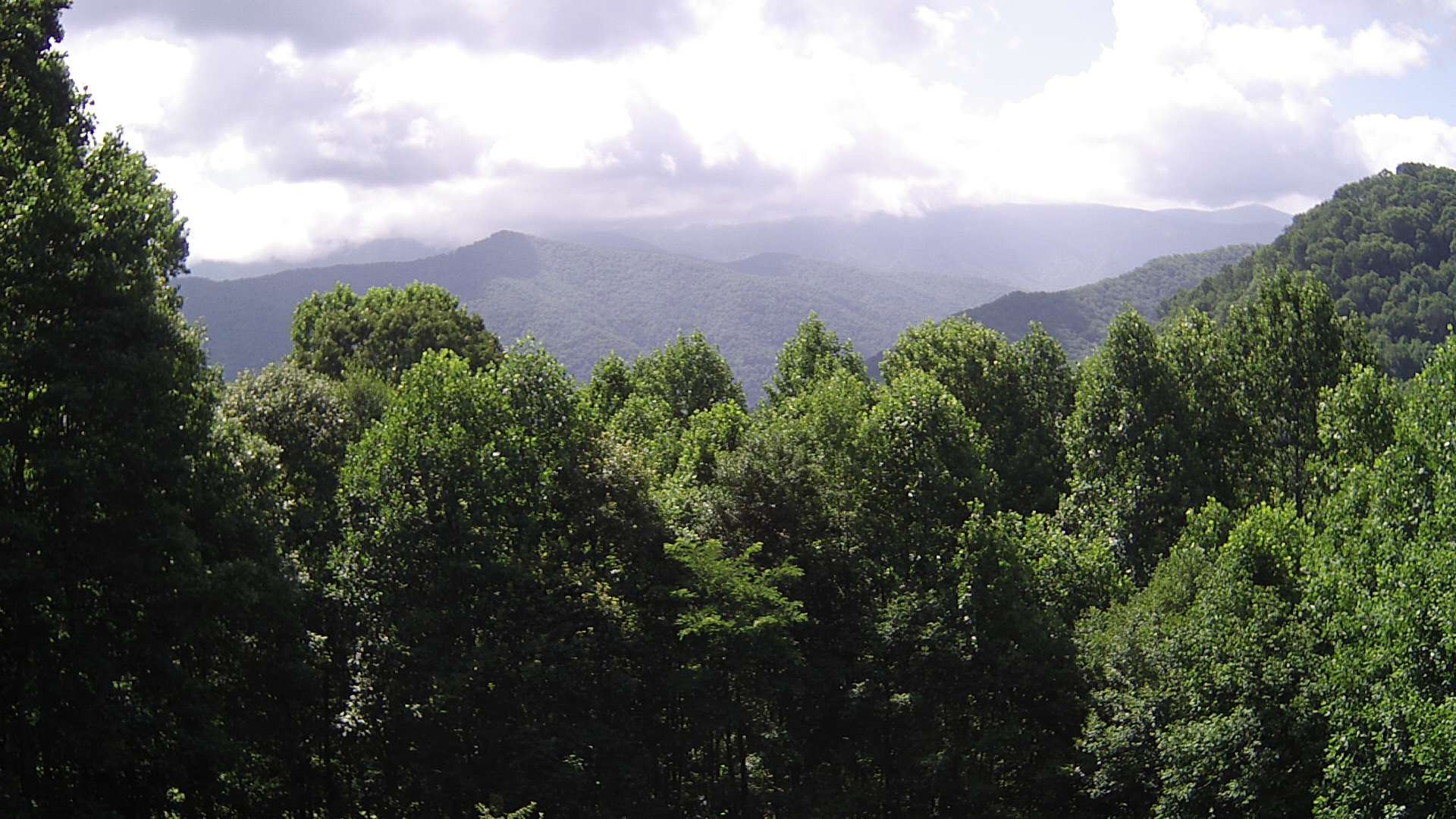 click for next image... slideshow image
