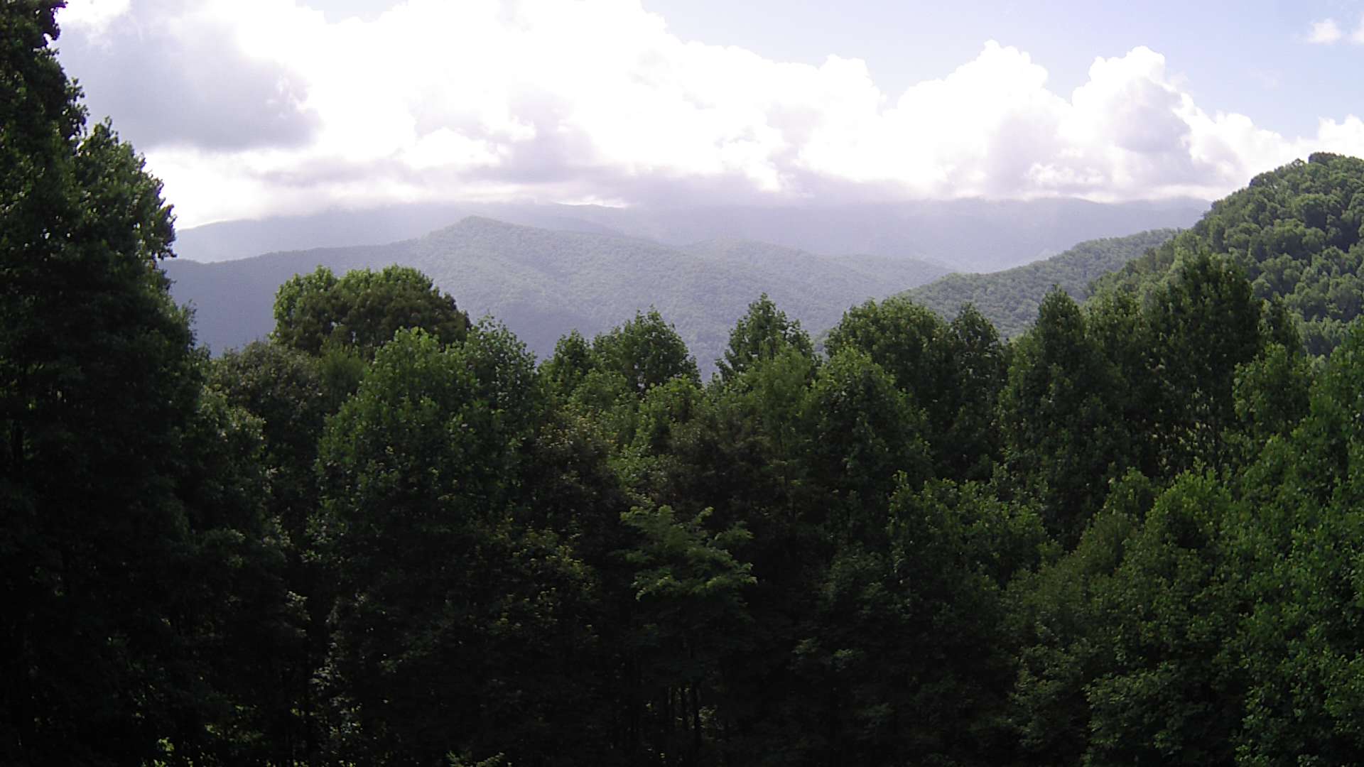 click for next image... slideshow image