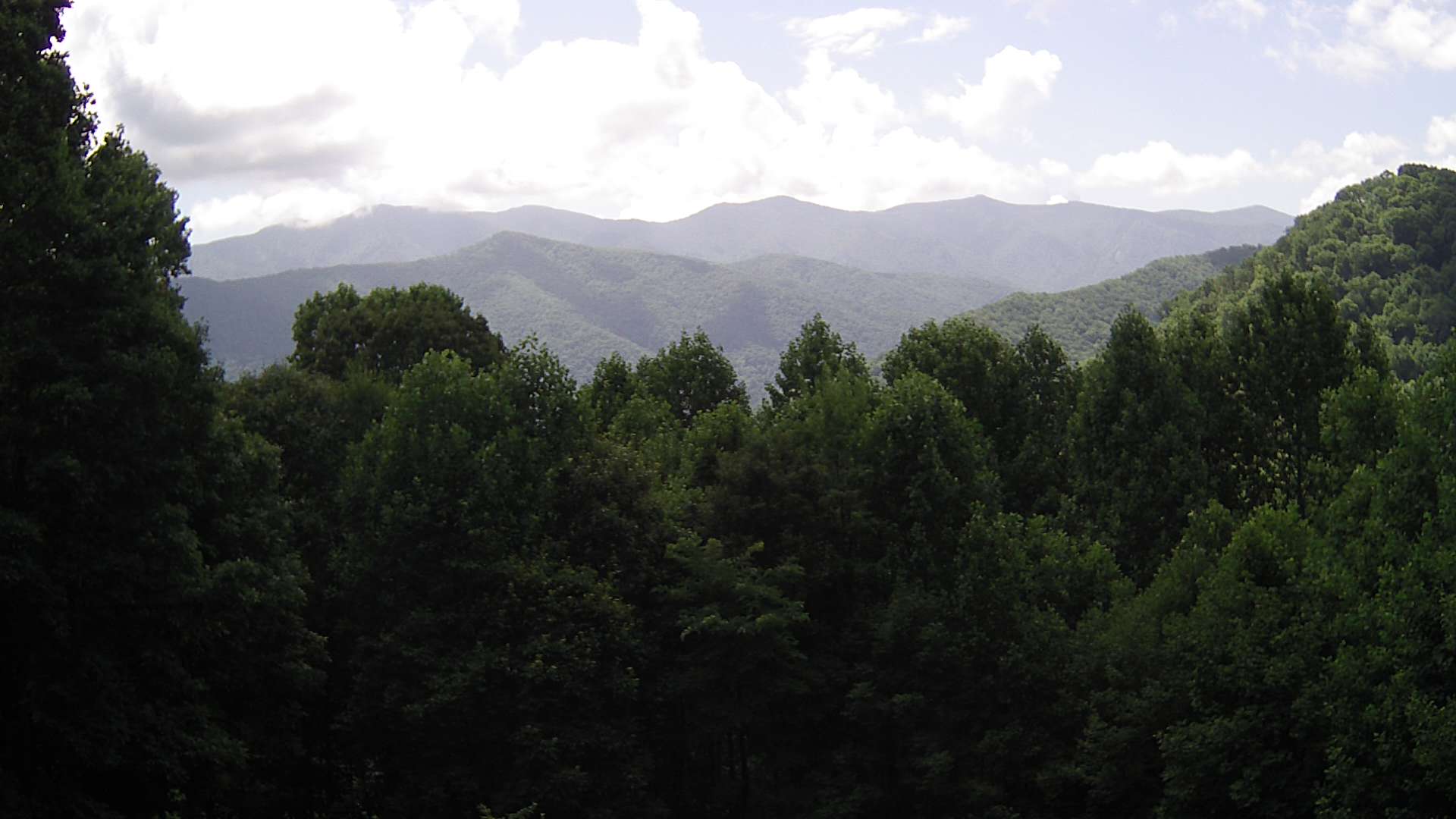 click for next image... slideshow image