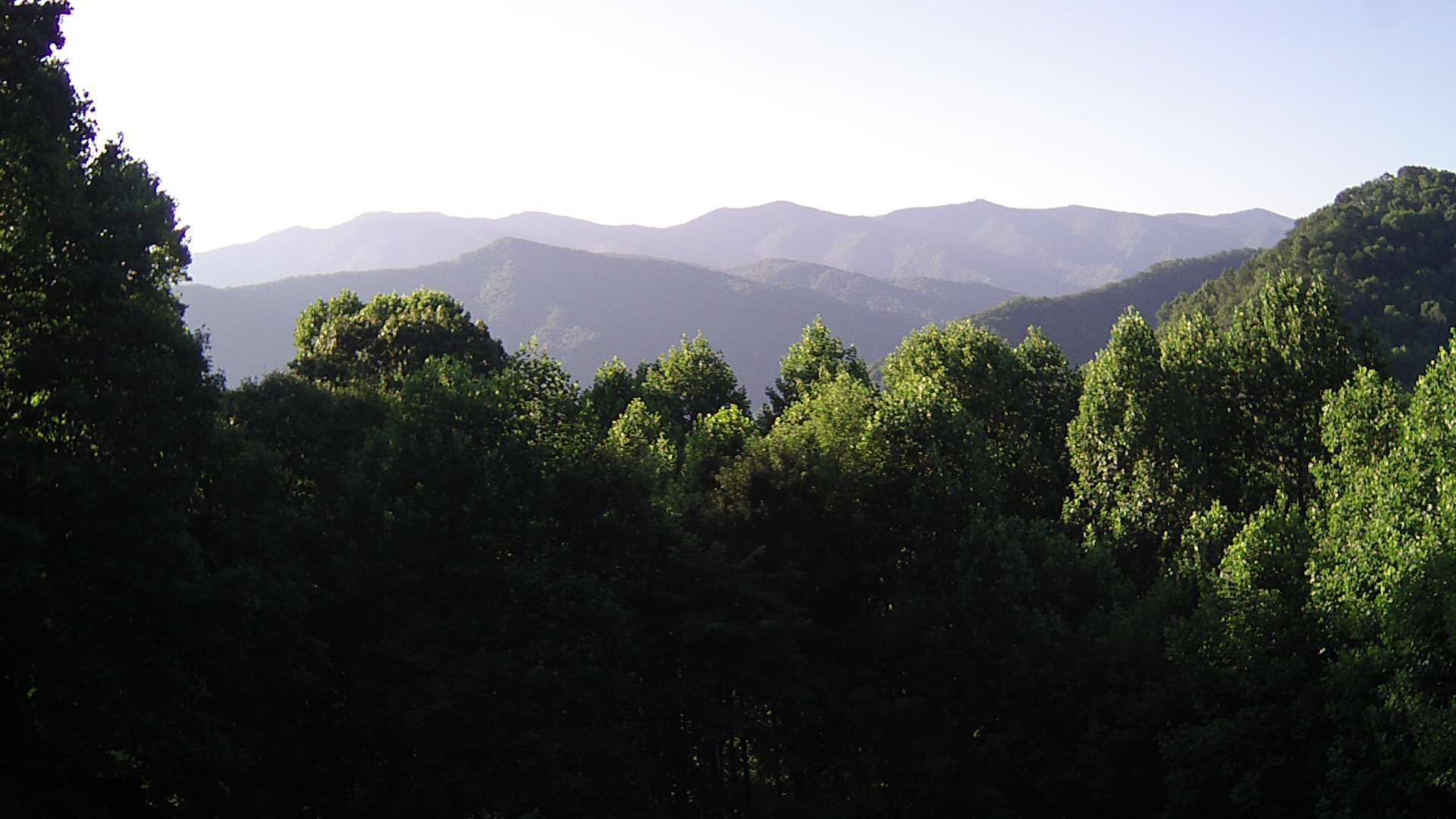 click for next image... slideshow image