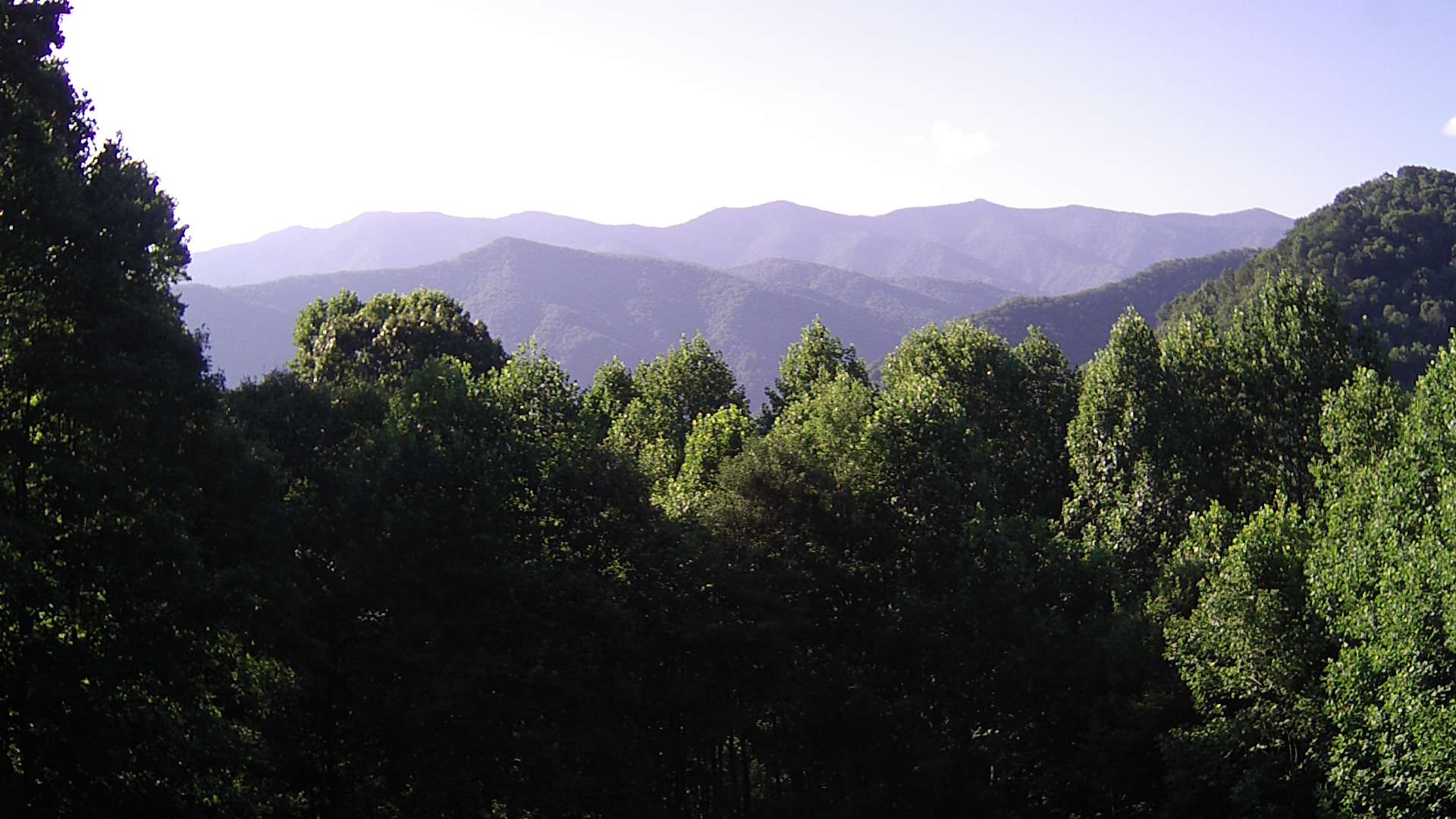 click for next image... slideshow image