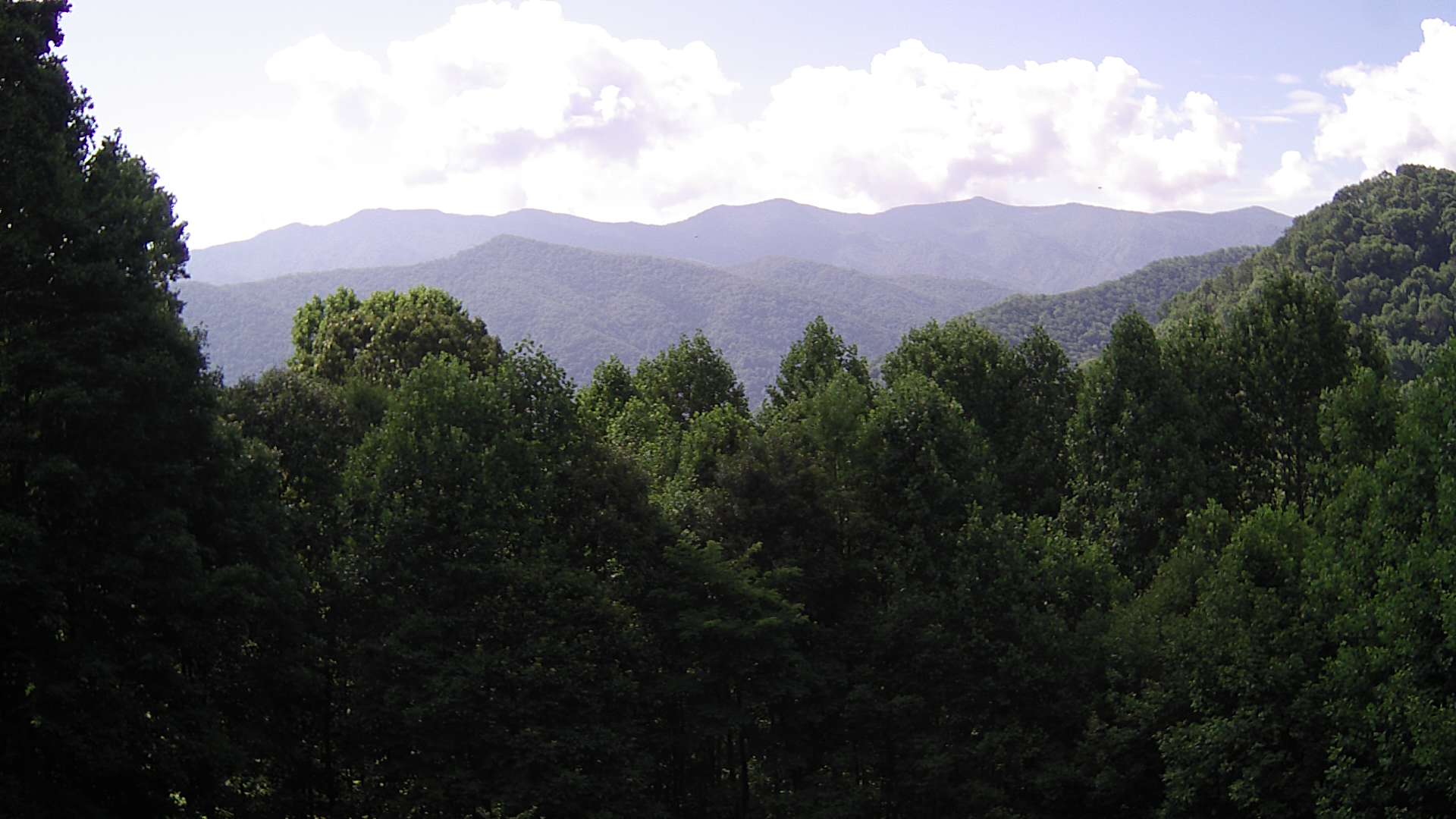 click for next image... slideshow image