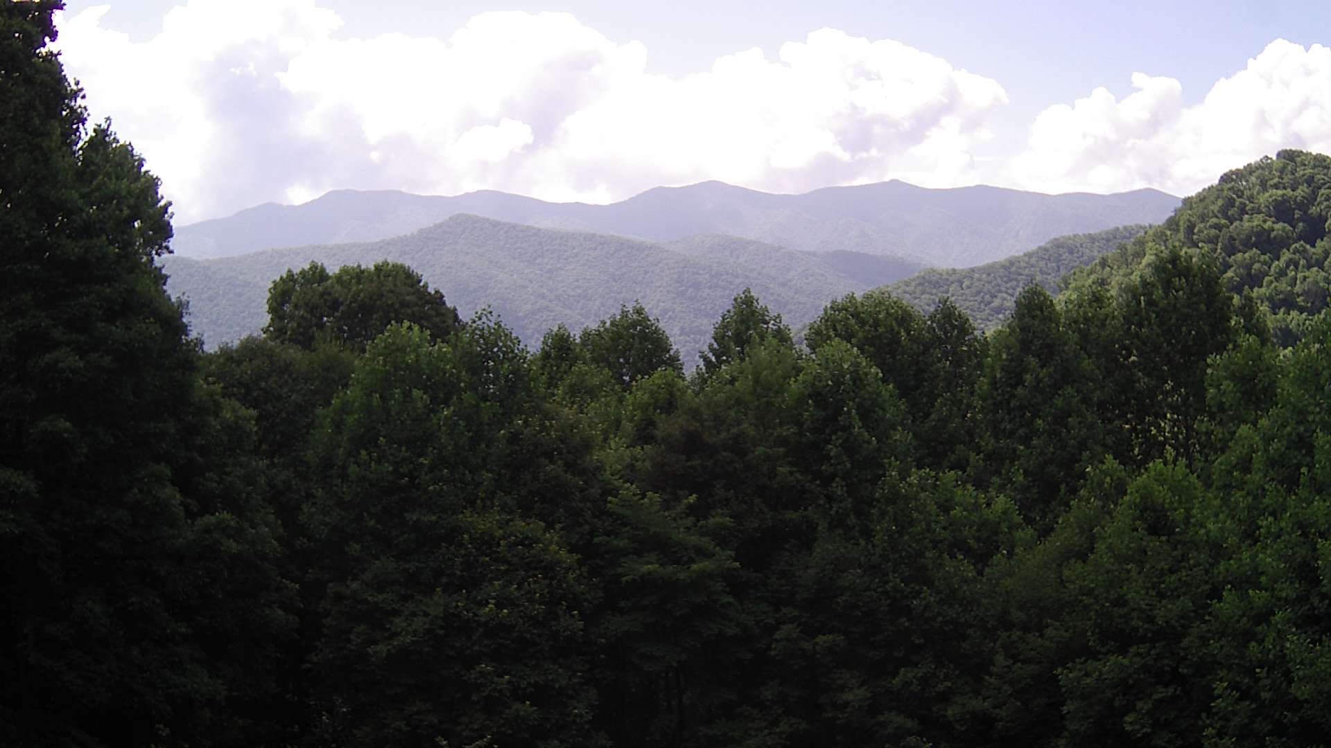 click for next image... slideshow image
