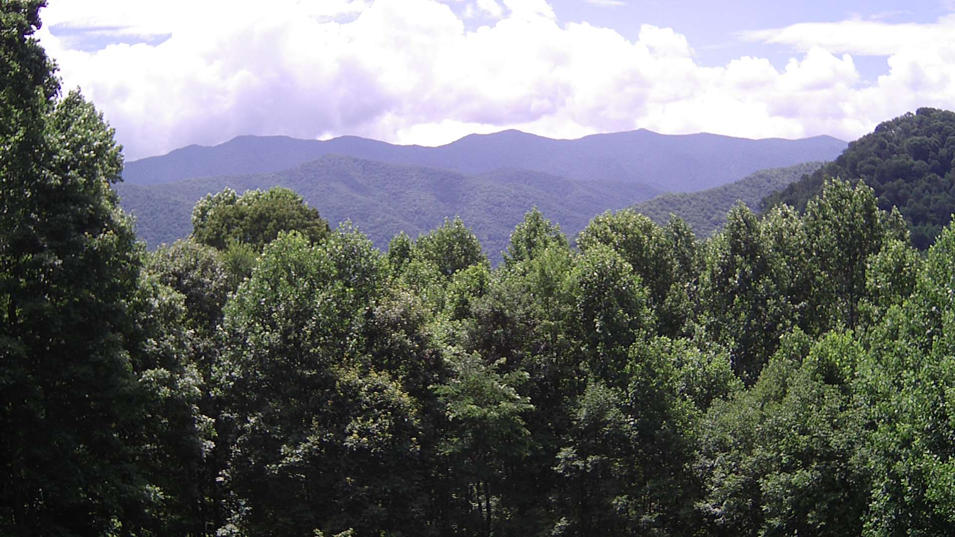 click for next image... slideshow image