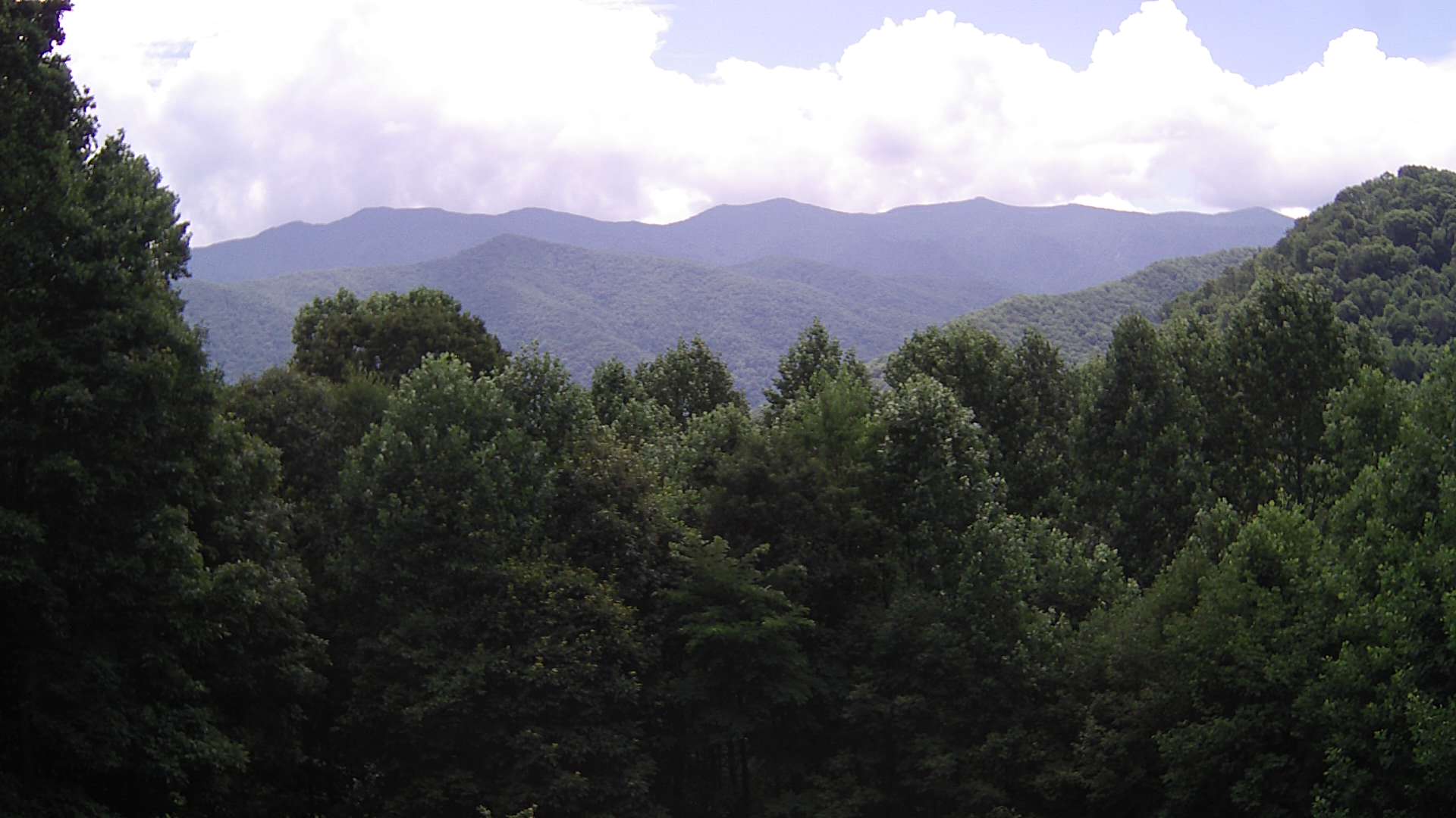 click for next image... slideshow image
