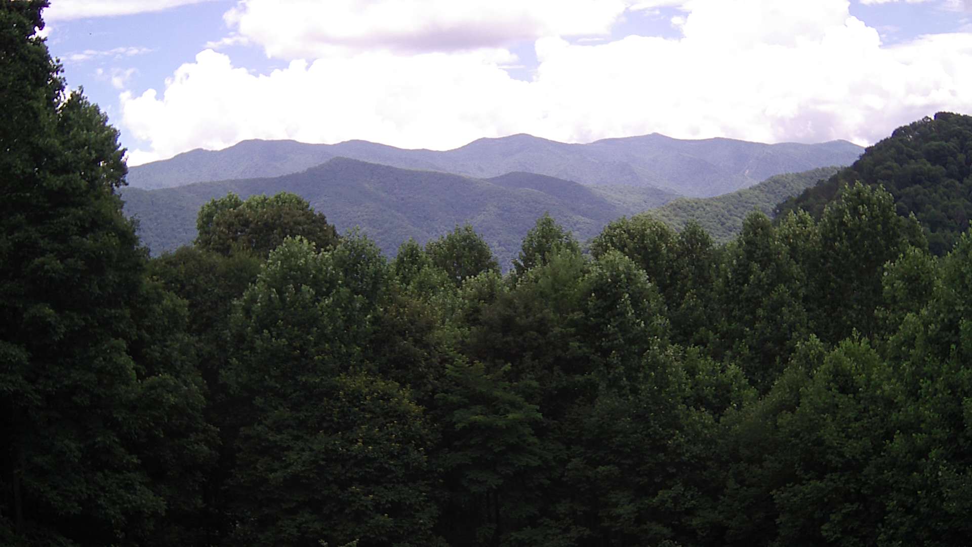 click for next image... slideshow image