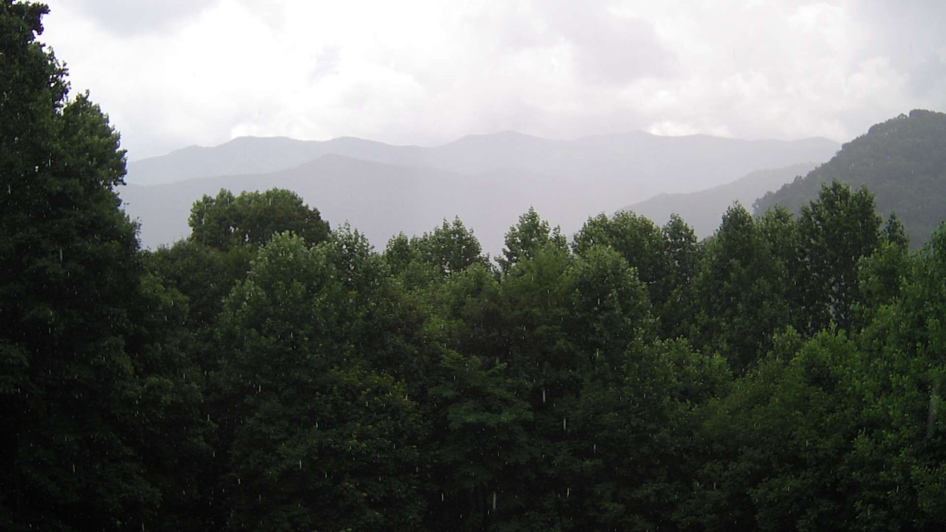 click for next image... slideshow image