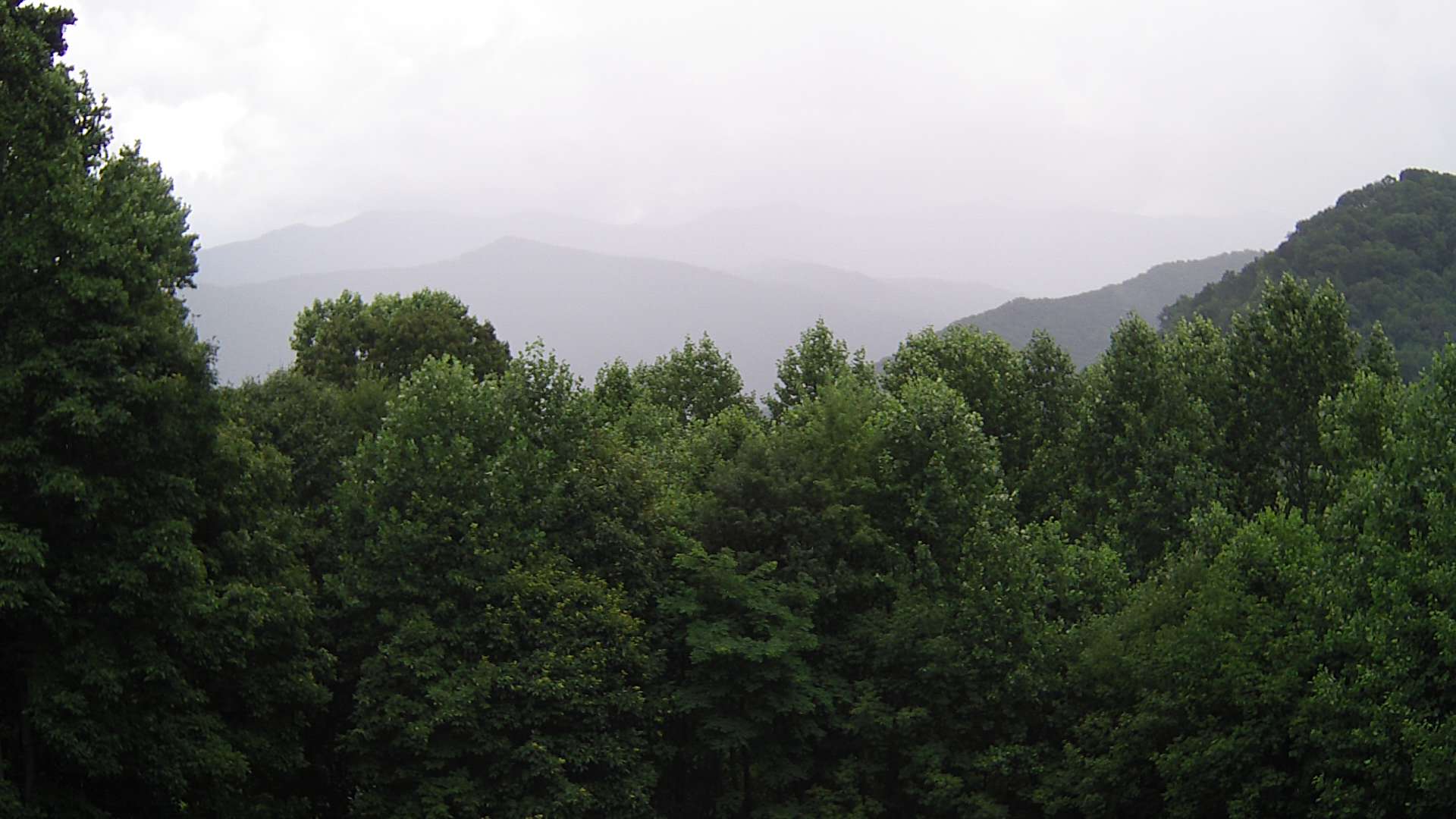 click for next image... slideshow image