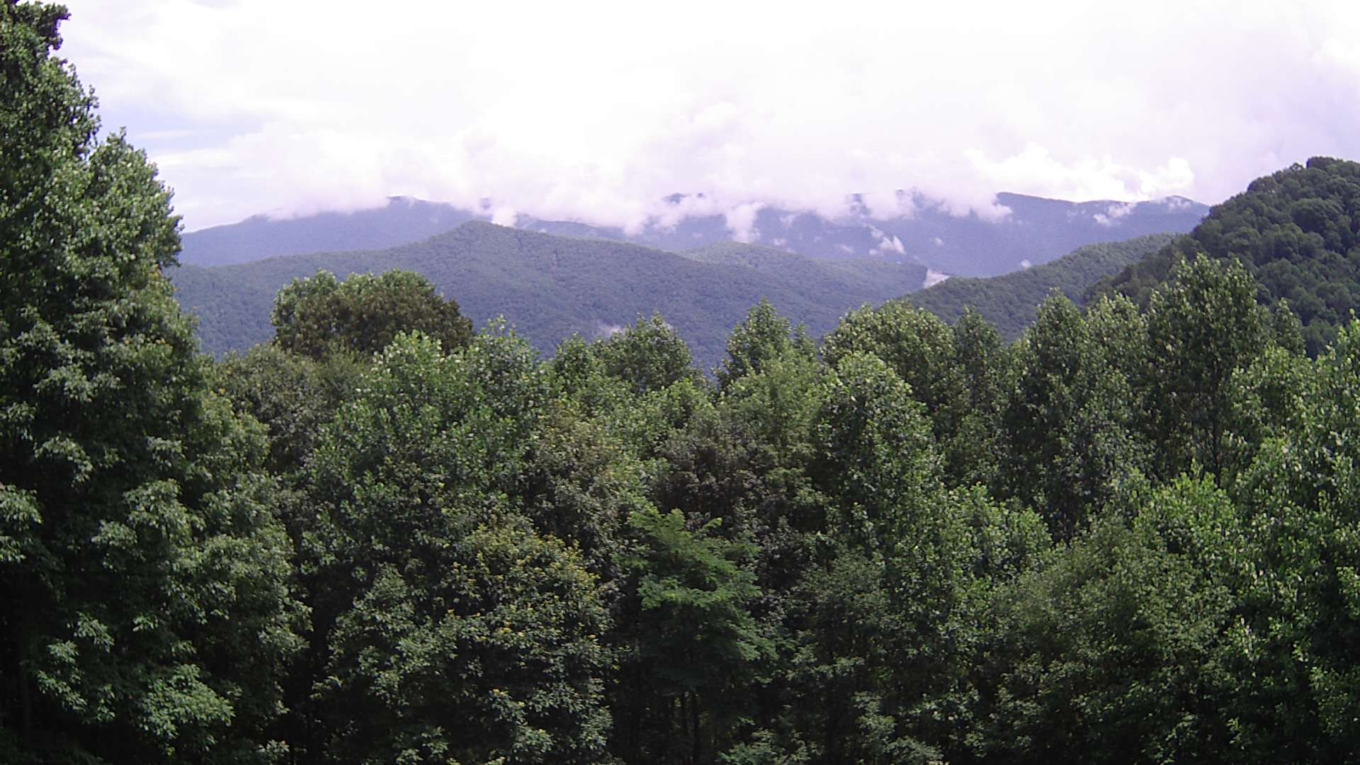 click for next image... slideshow image