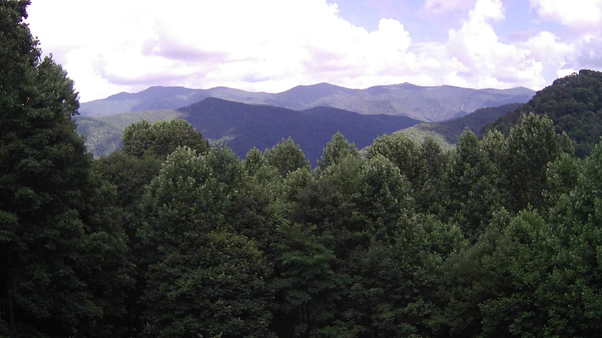 click for next image... slideshow image