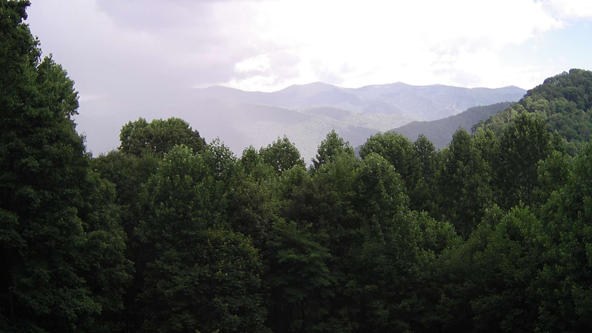 click for next image... slideshow image