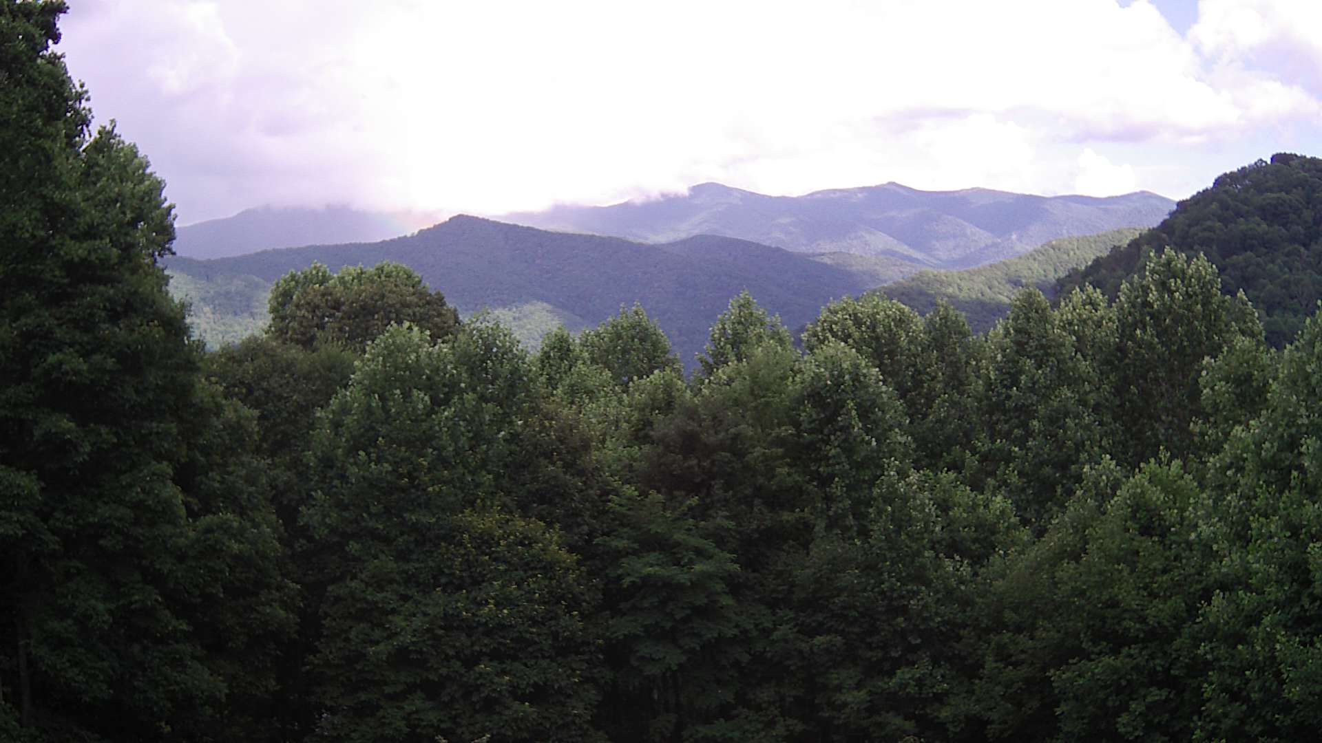 click for next image... slideshow image