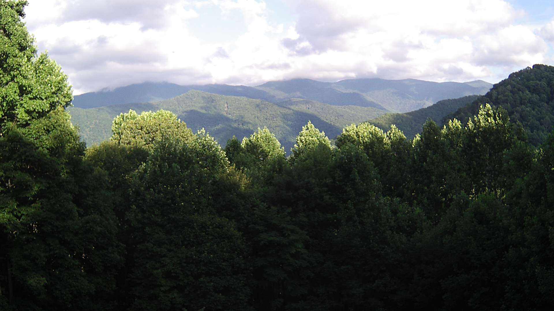 click for next image... slideshow image