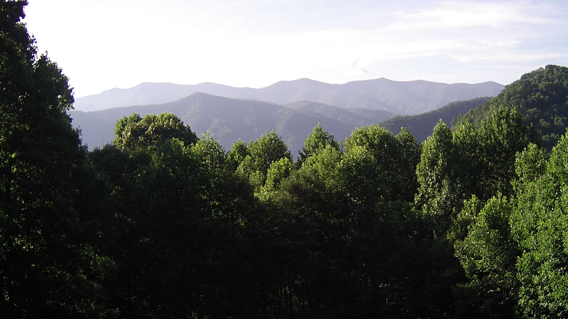 click for next image... slideshow image