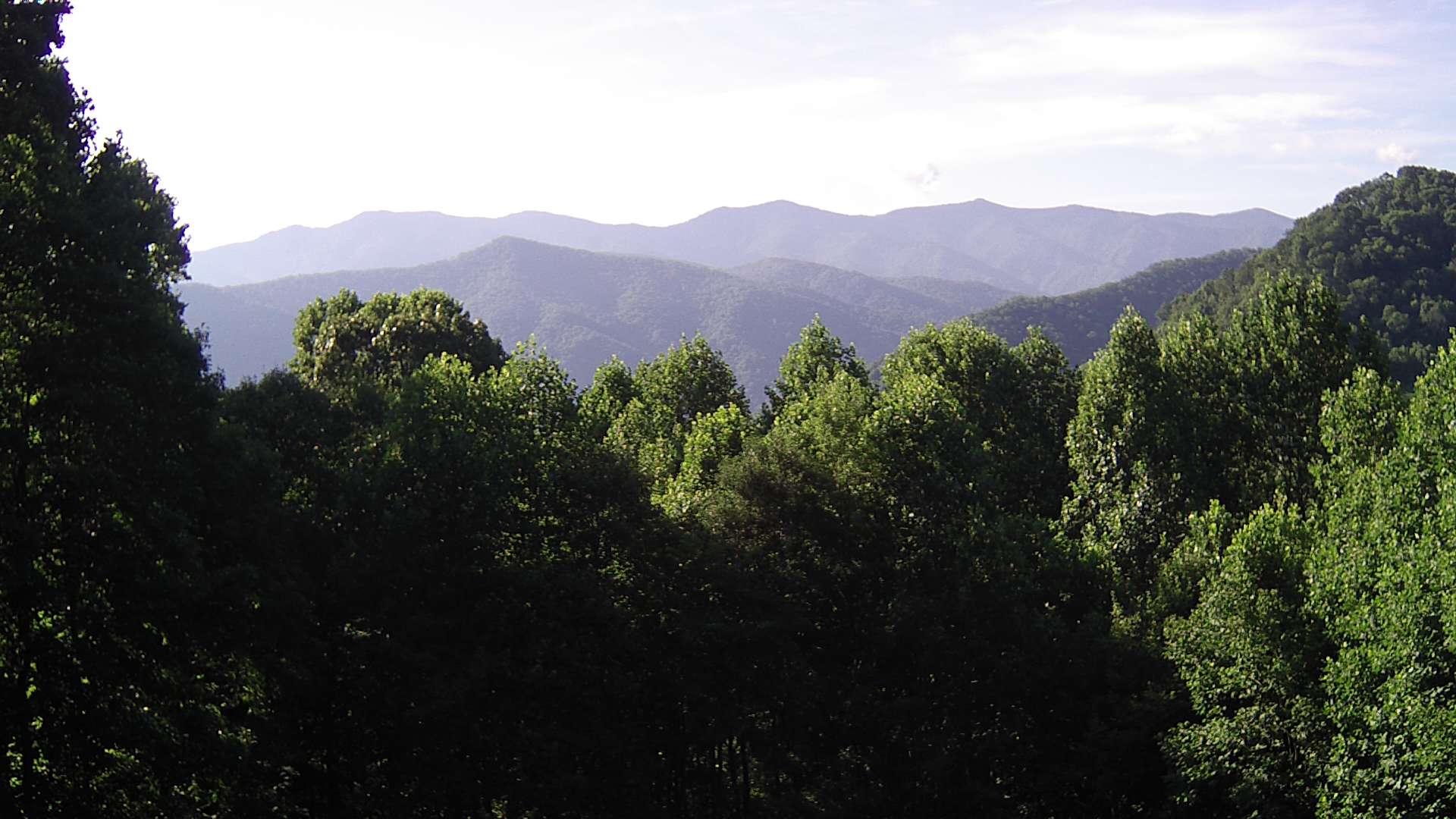 click for next image... slideshow image