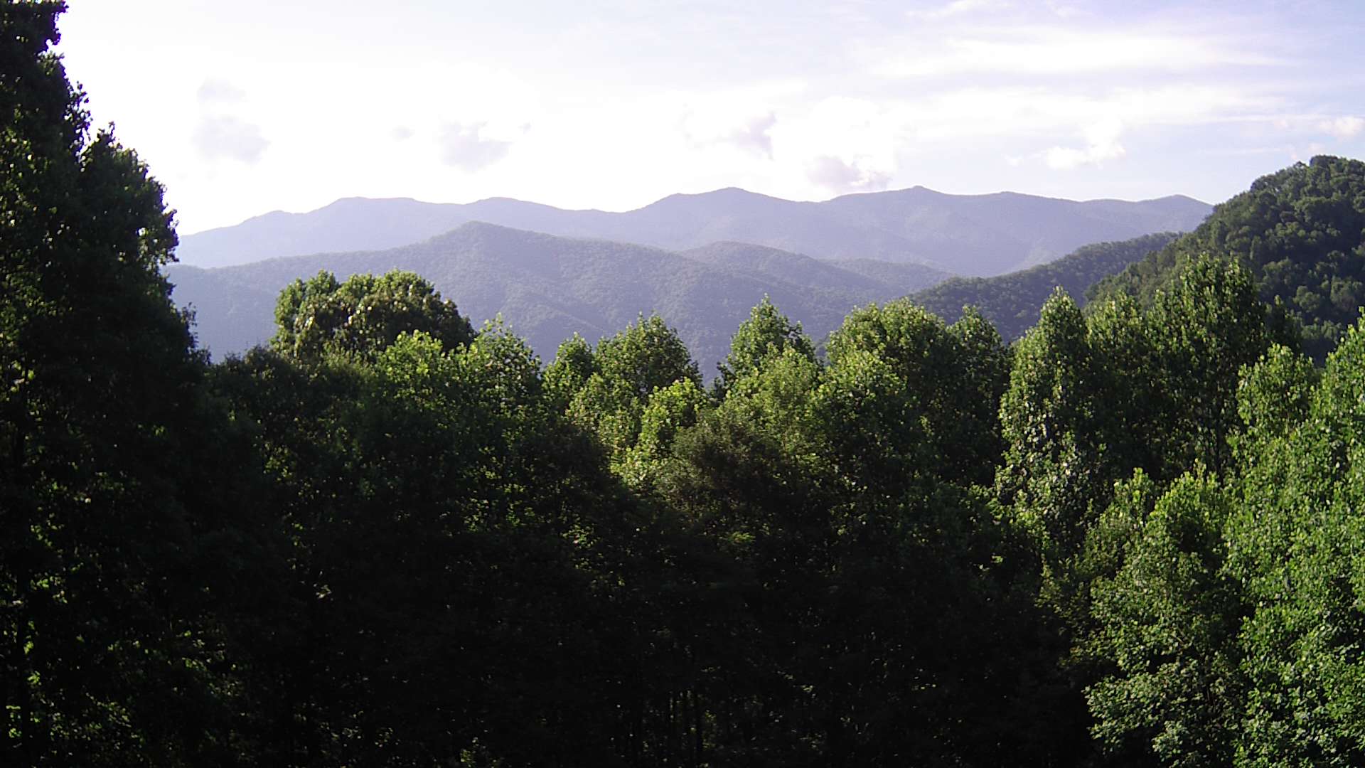 click for next image... slideshow image