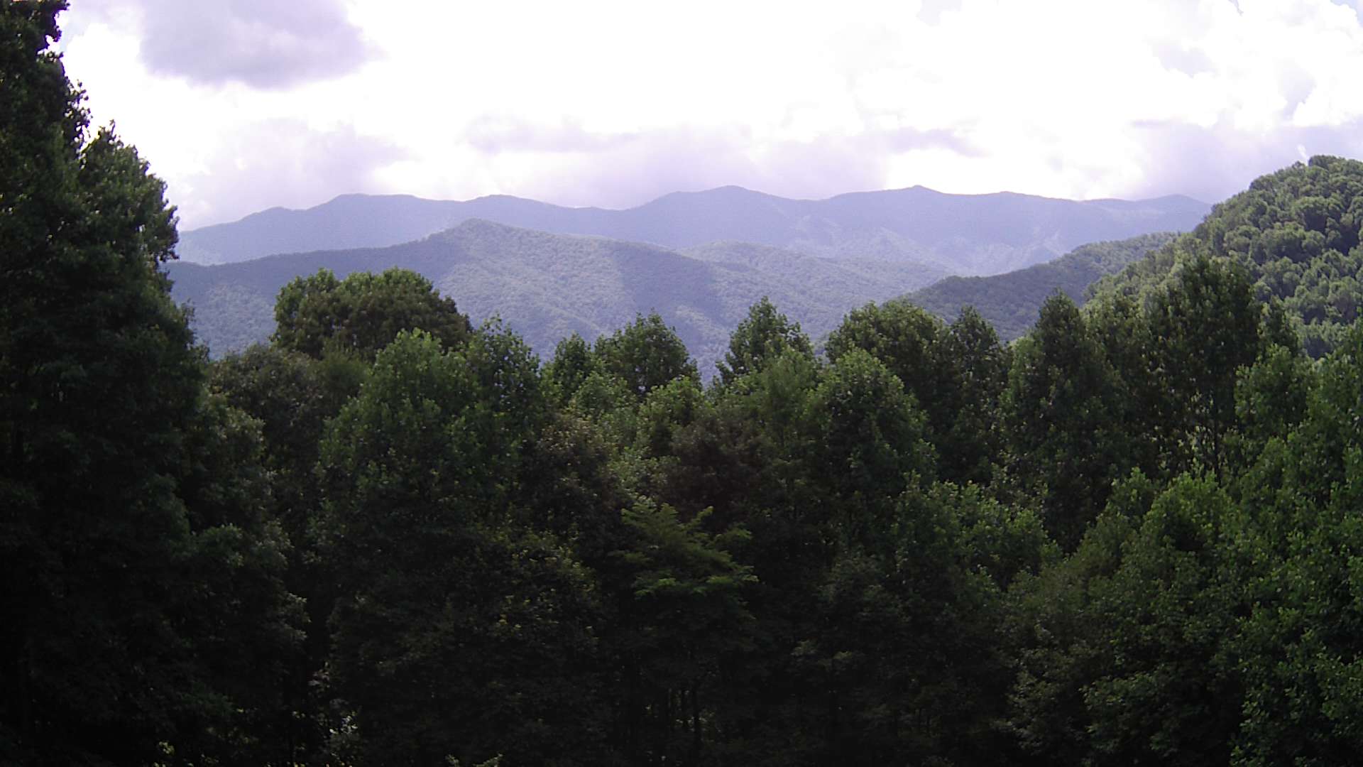 click for next image... slideshow image
