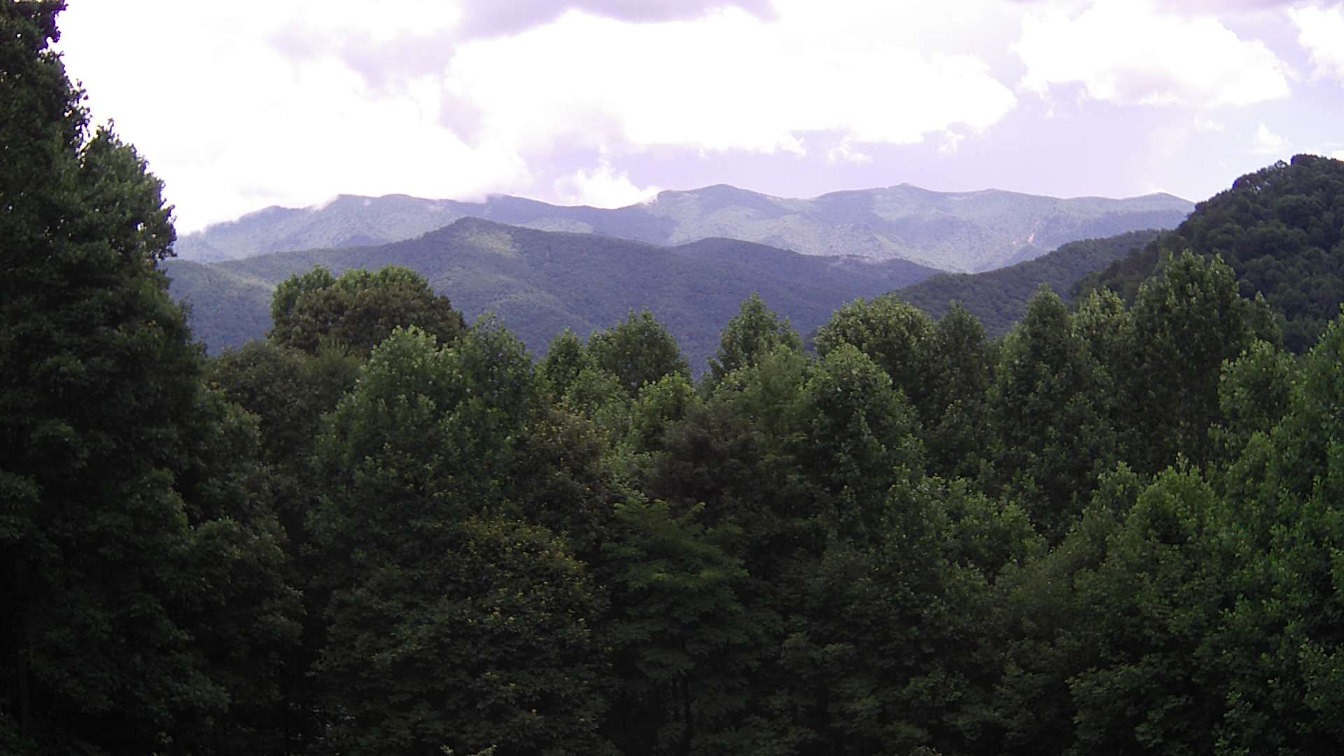 click for next image... slideshow image