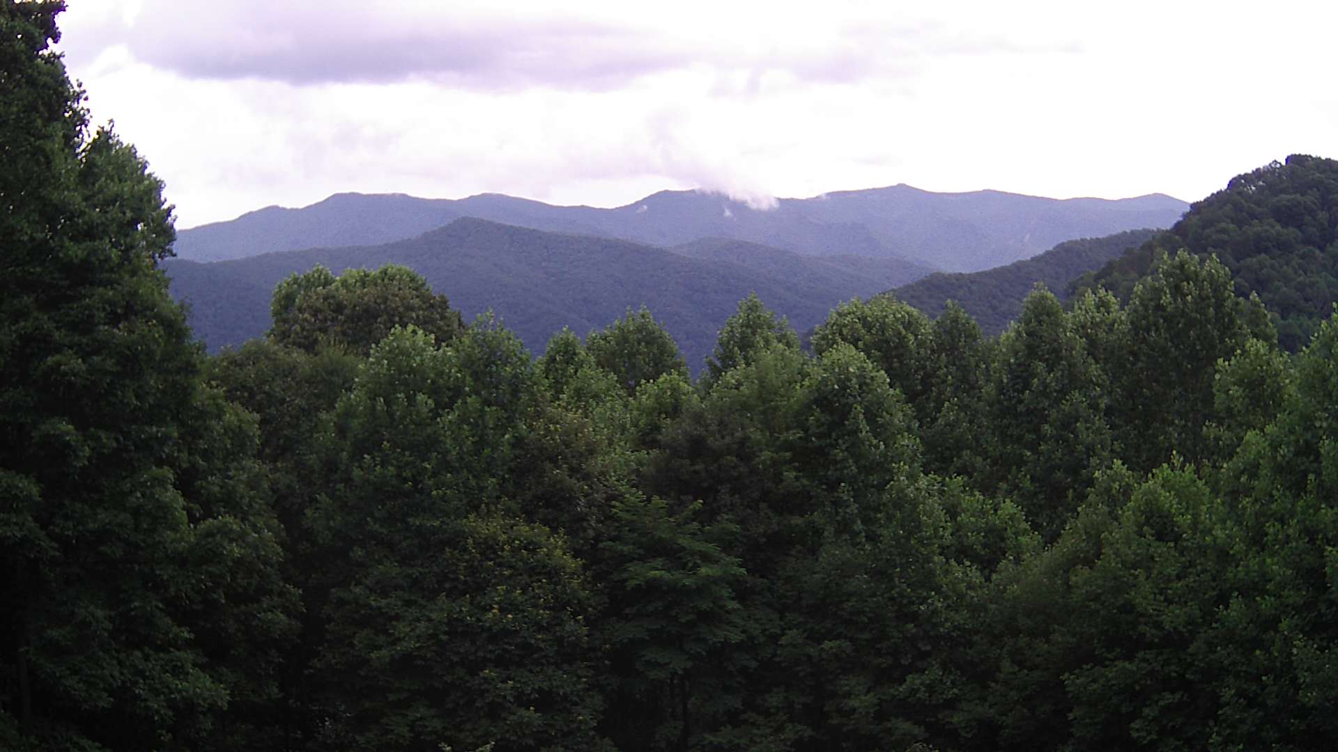 click for next image... slideshow image