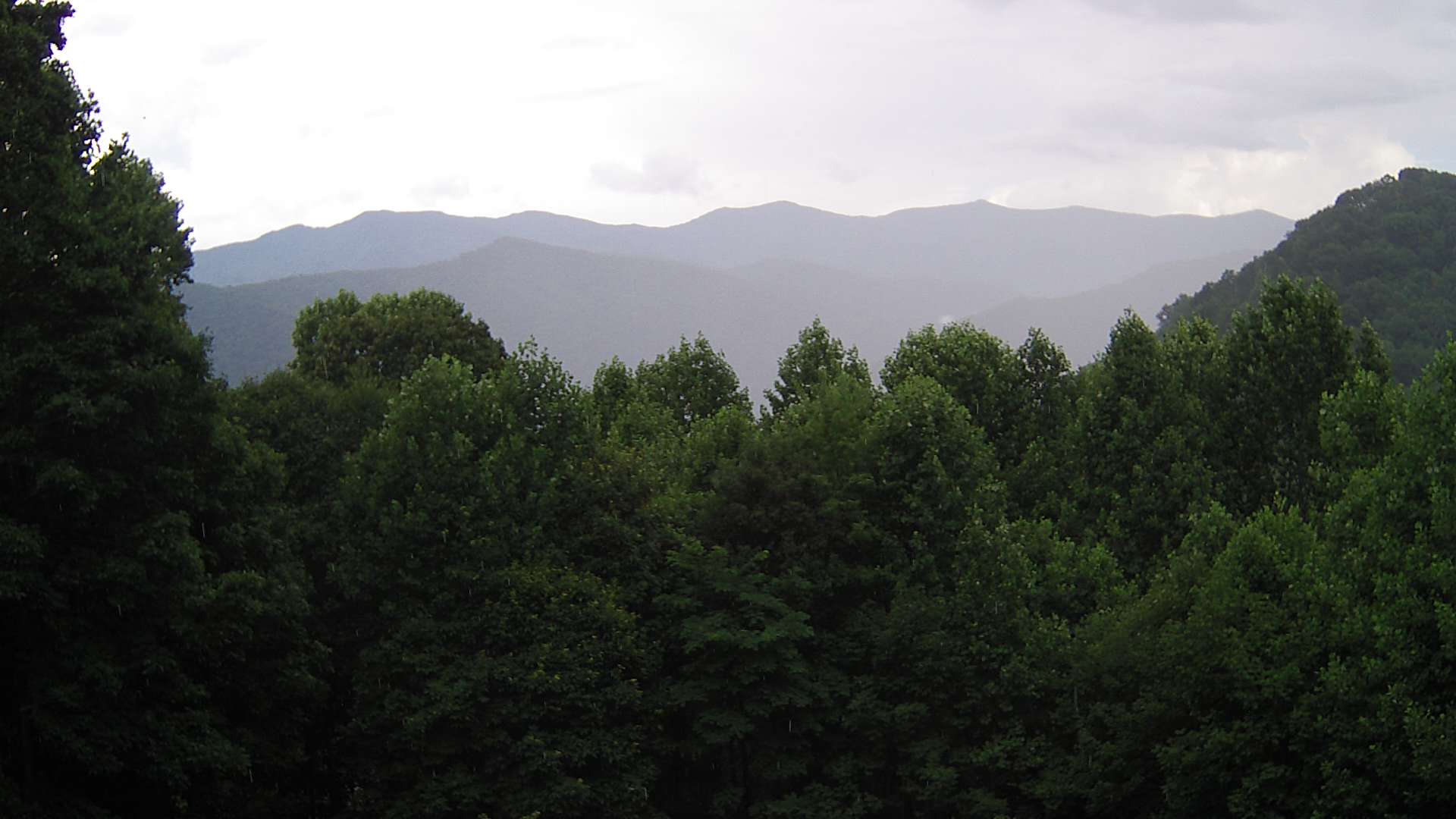click for next image... slideshow image